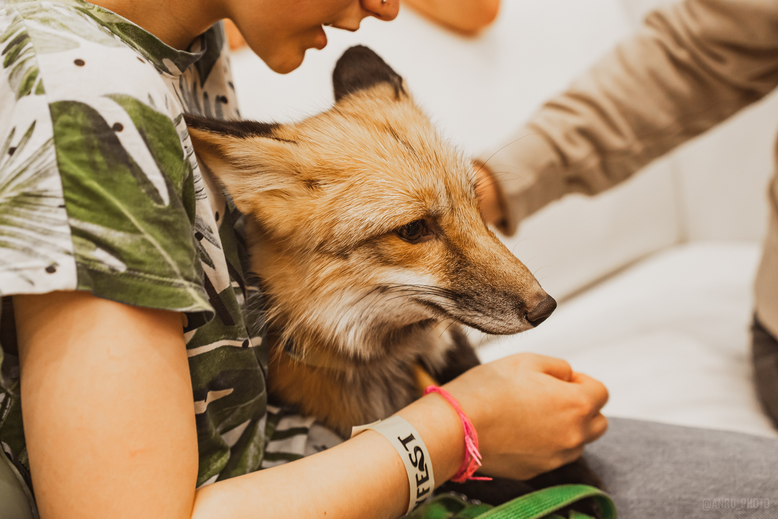 Fox Family fest. Репортажный фотограф Анастасия Рубцова