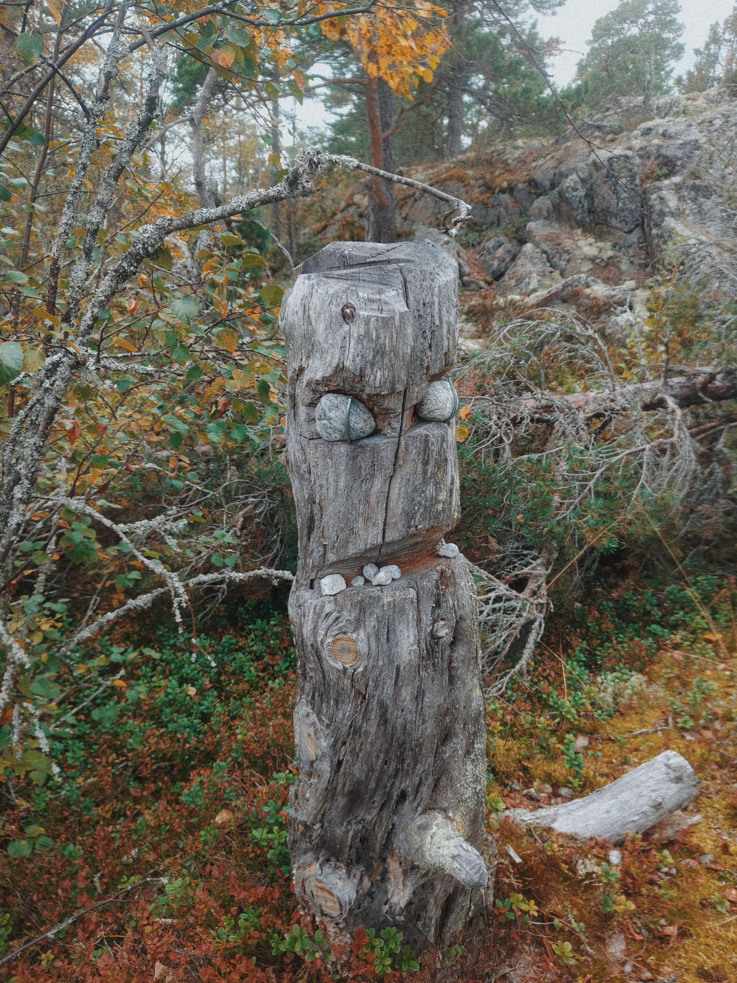Сплав по Ладоге от Терву. Alimov | photo