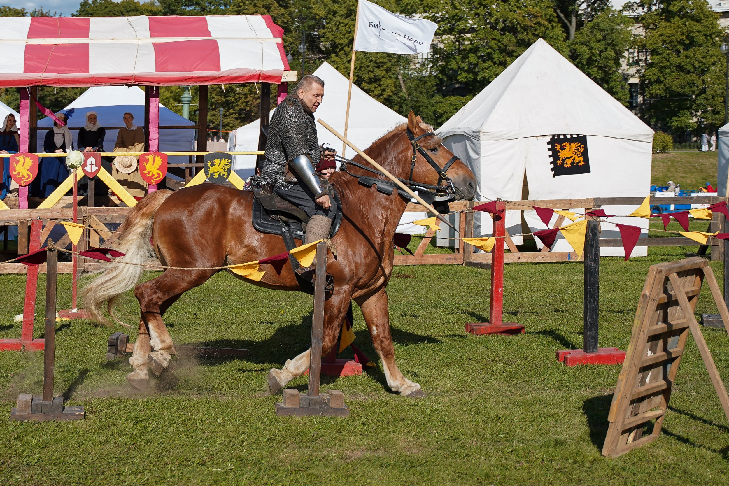 Рыцарский турнир в рамках фестиваля «Битва на Неве» Санкт-Петербург 2024 г. Фотограф-анималист, портретный фотограф в Чебоксарах Мария Садыкова