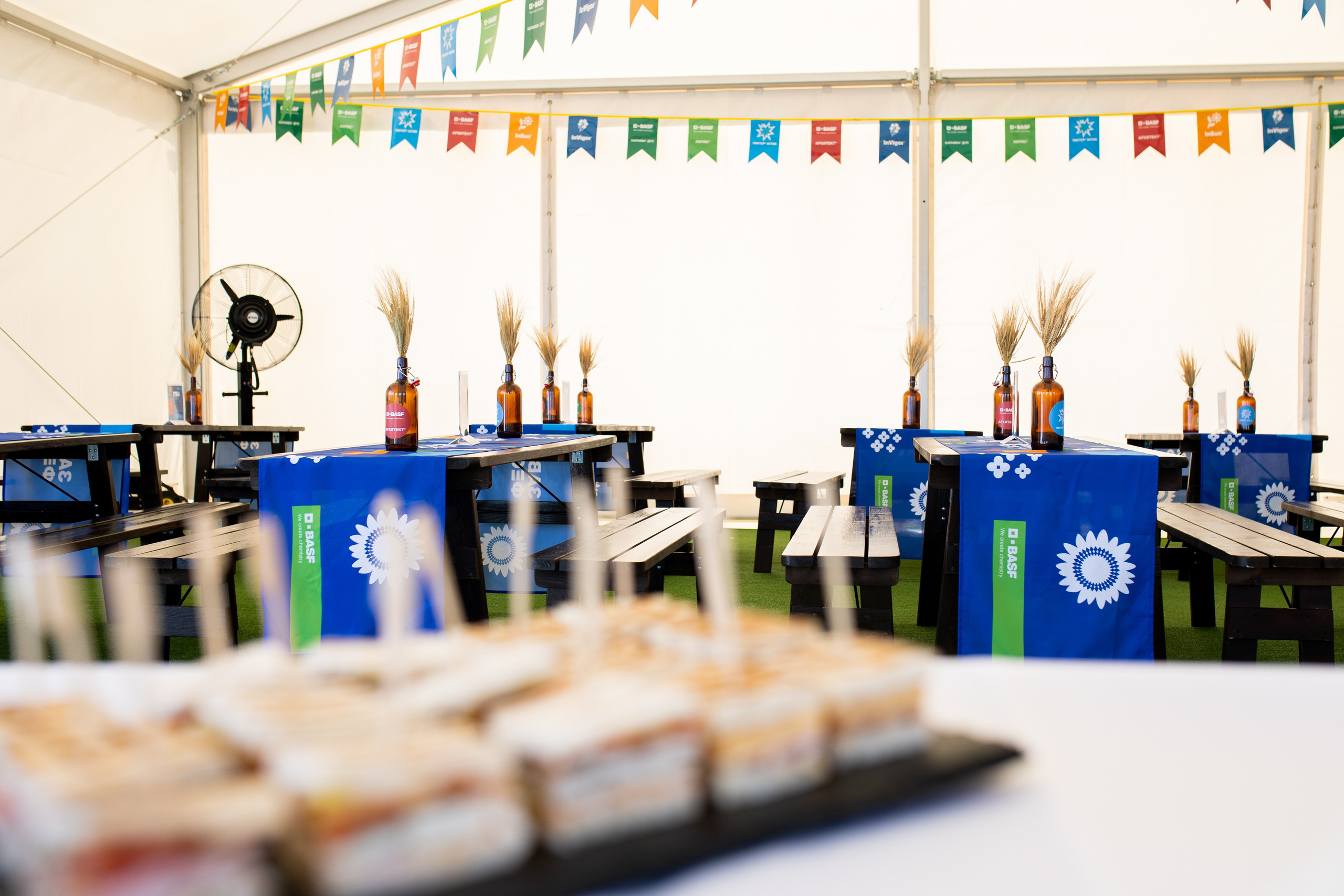 Решения для сельского хозяйства BASF 16.08.2022. Владислав Волков | Фотография и видеосъемка в Воронеже