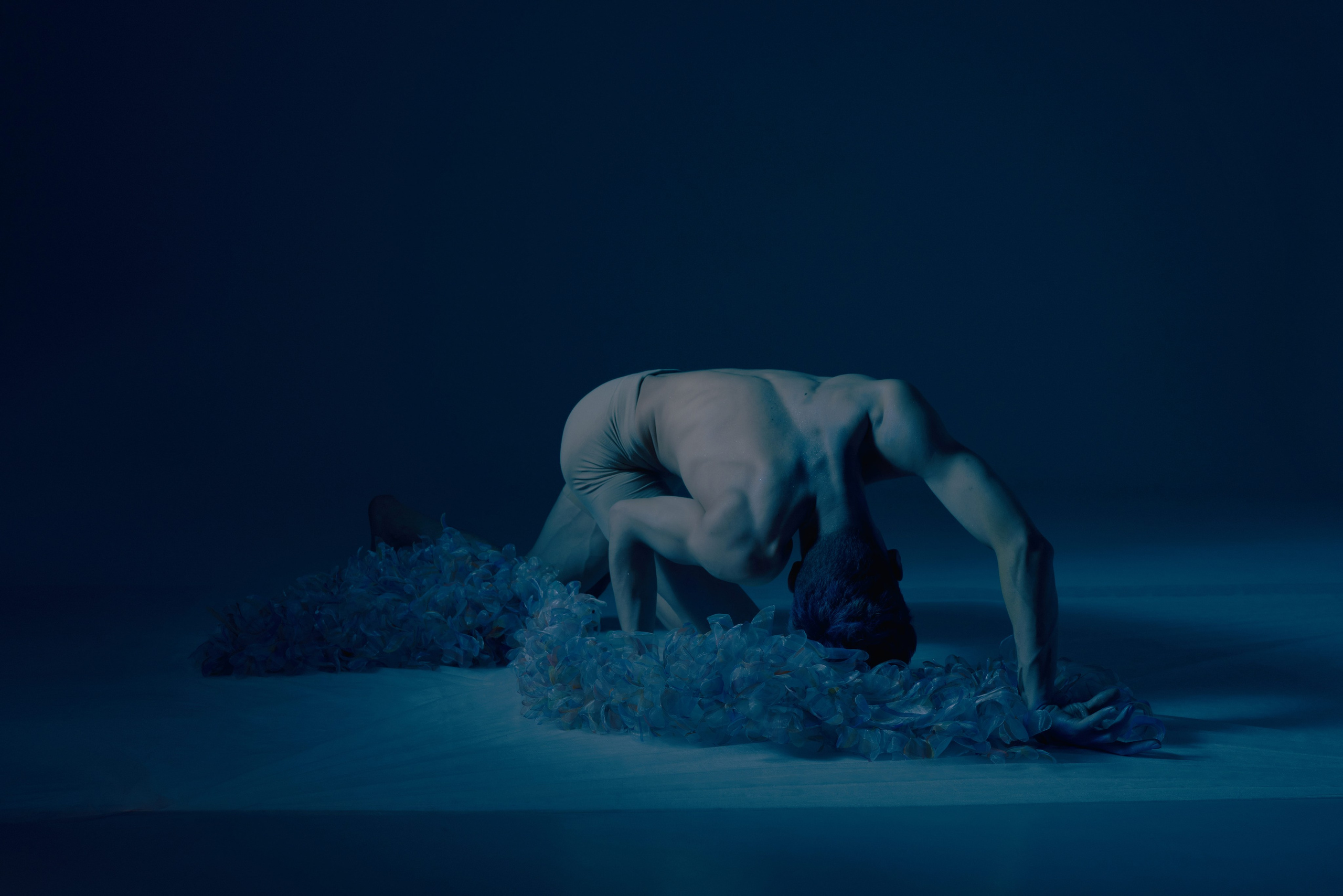 Капсулы. Оболочки. Стежки. Слои. Художественная фотография в Санкт-Петербурге Алина Берёзкина