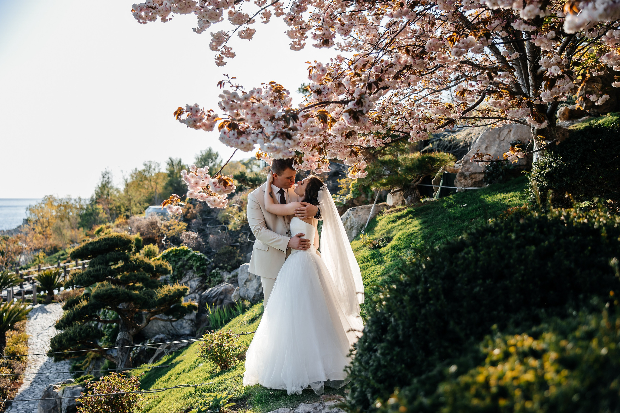 Сакура в Японском саду. Анонс свадьбы для Никиты и Марины. Свадебный фотограф в Крыму и Севастополе Ольга Баскакова