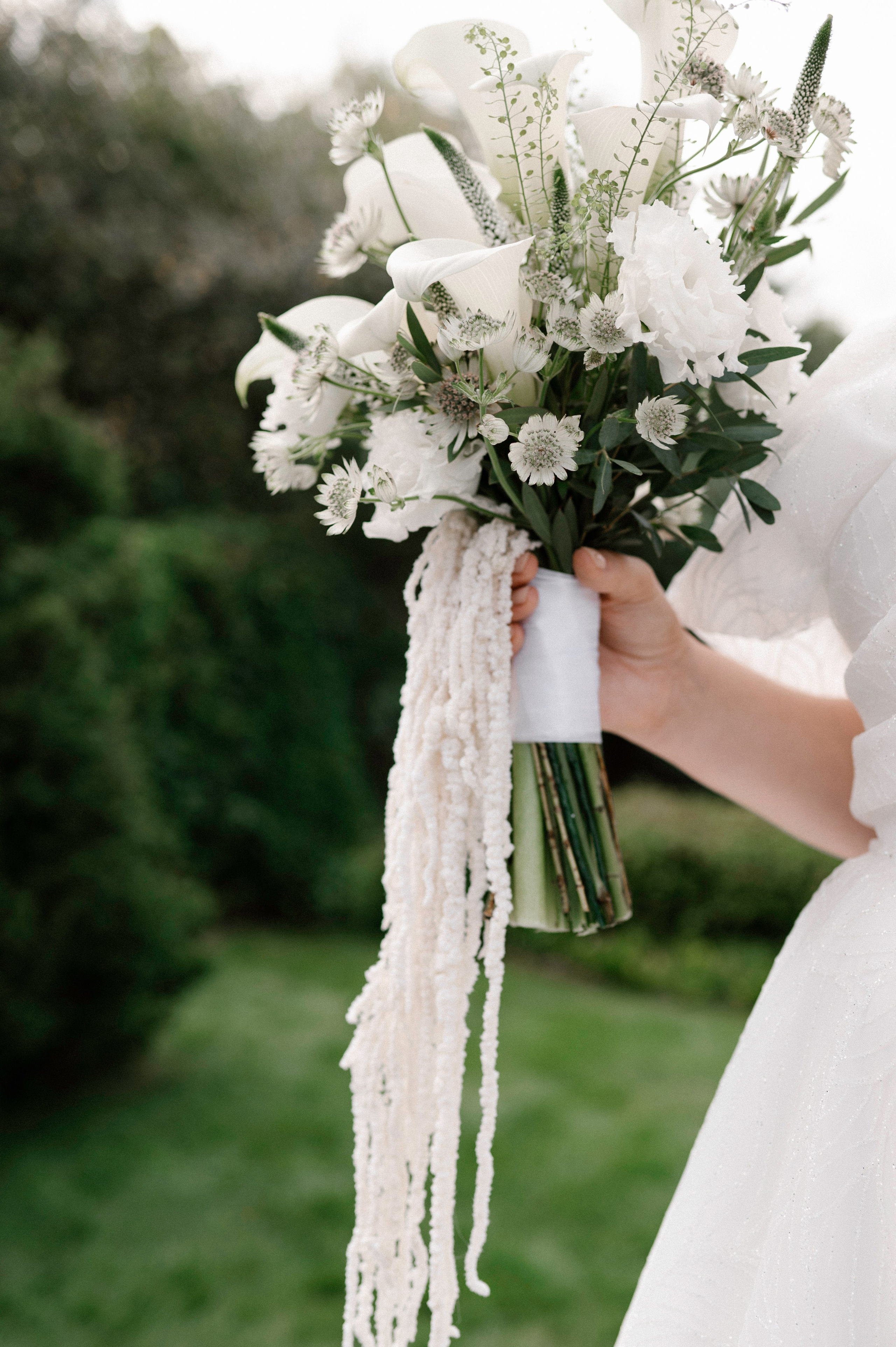 Банкеты. Фотограф Тверь