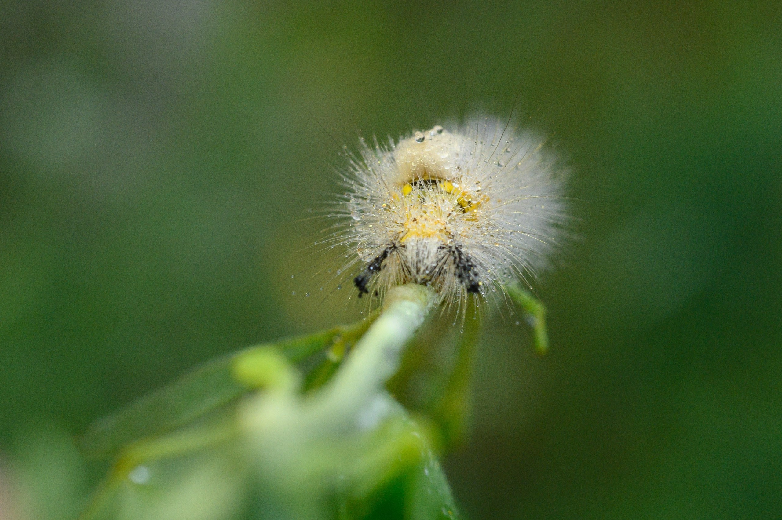 Фотопленэр на болоте. Фотообъединение Самарского областного отделения Союза журналистов России