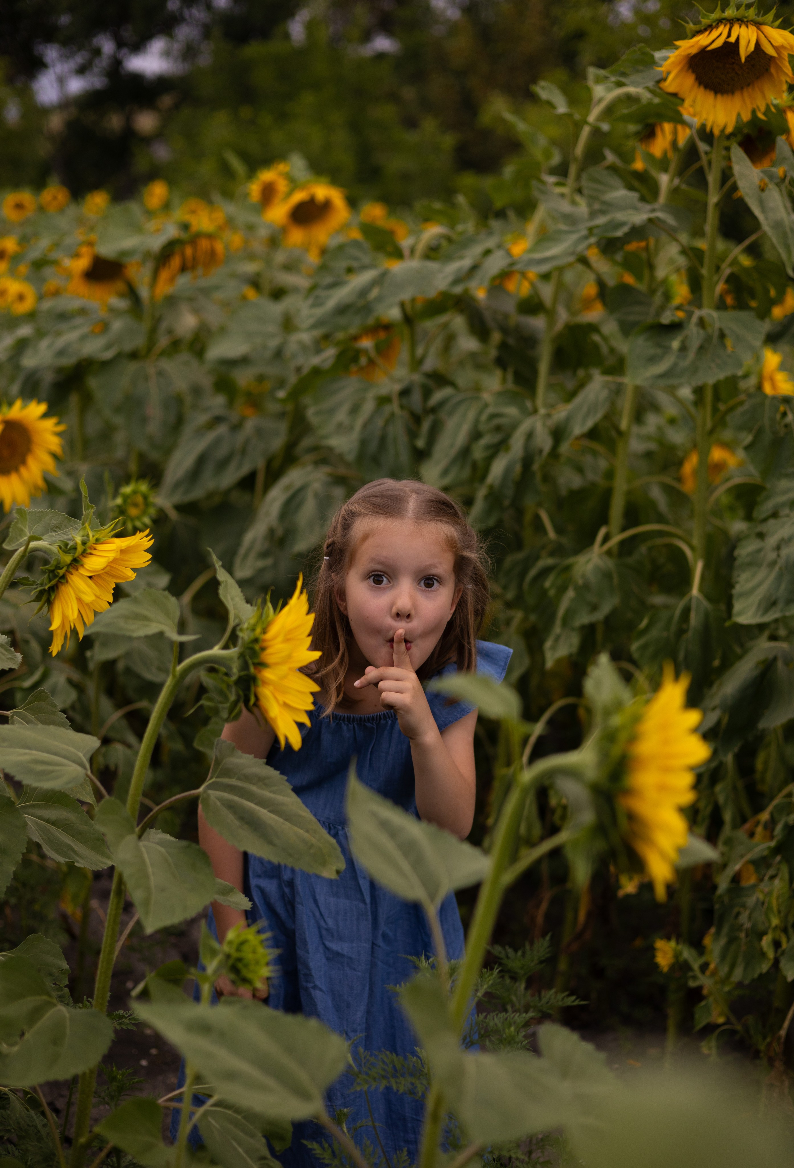 Услуги. Главная