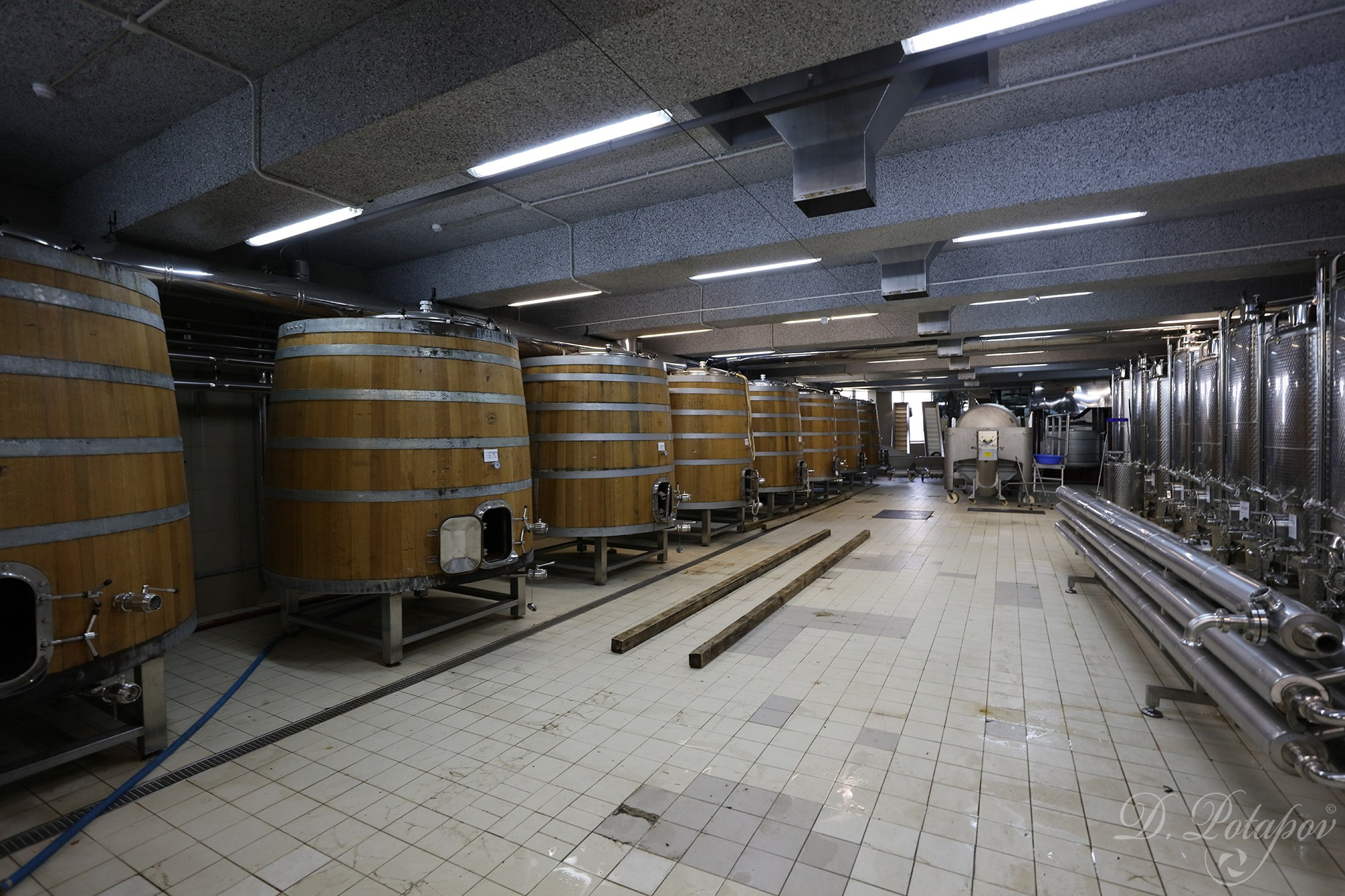 Крымская винодельня Alma Valley. Московский фотограф Дмитрий Потапов