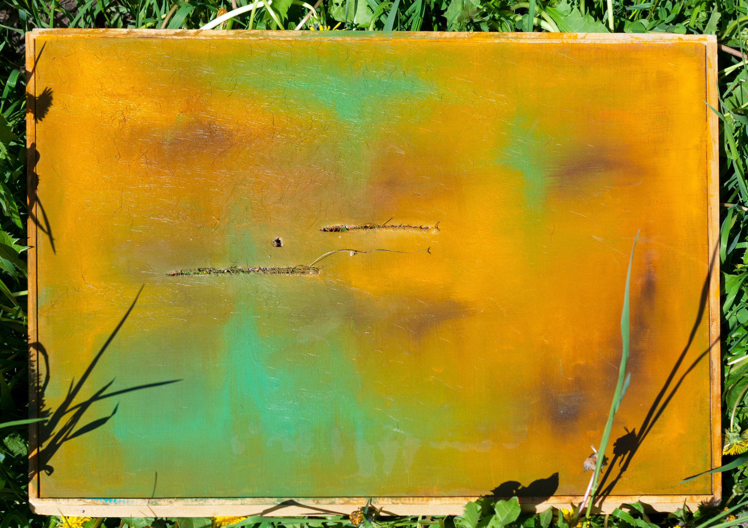 Абстракции. Алена Федорченко