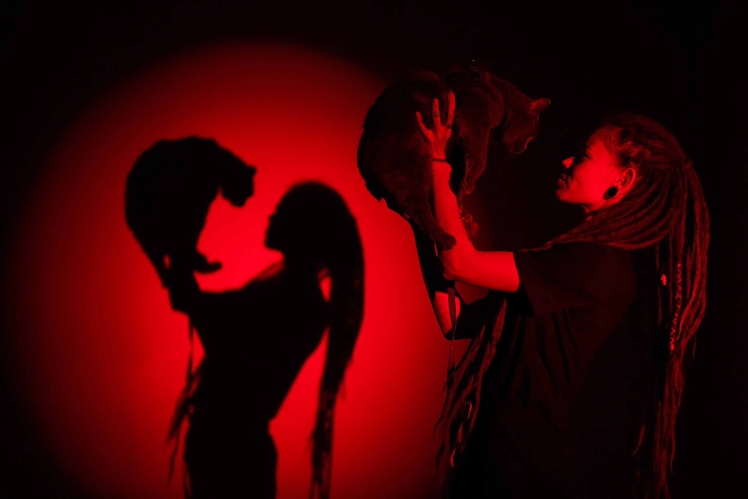 Девушка с дредами и серой кошкой на руках – студийный портрет, профессиональная фотосессия в Пензе.