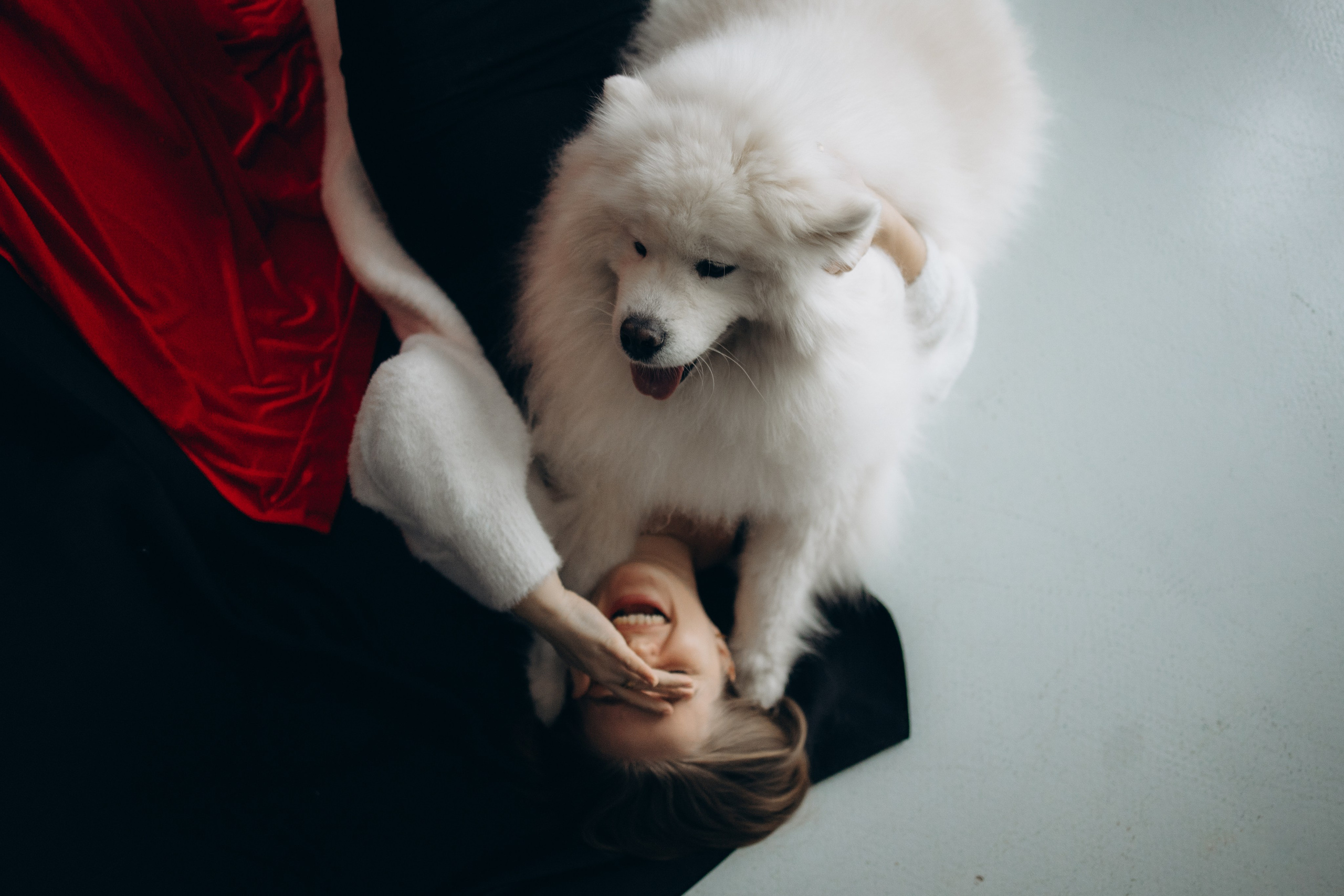 Настя и Кристофер. Фотограф — Анималист | Санкт-Петербург