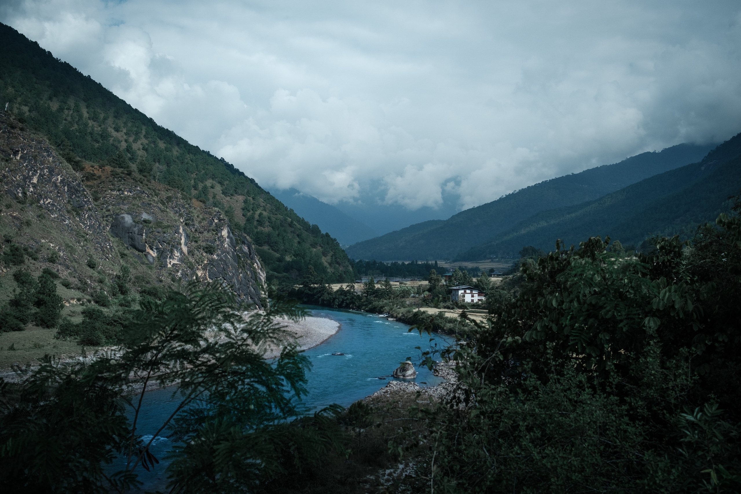 Bhutan. Dmitry Ippolitov