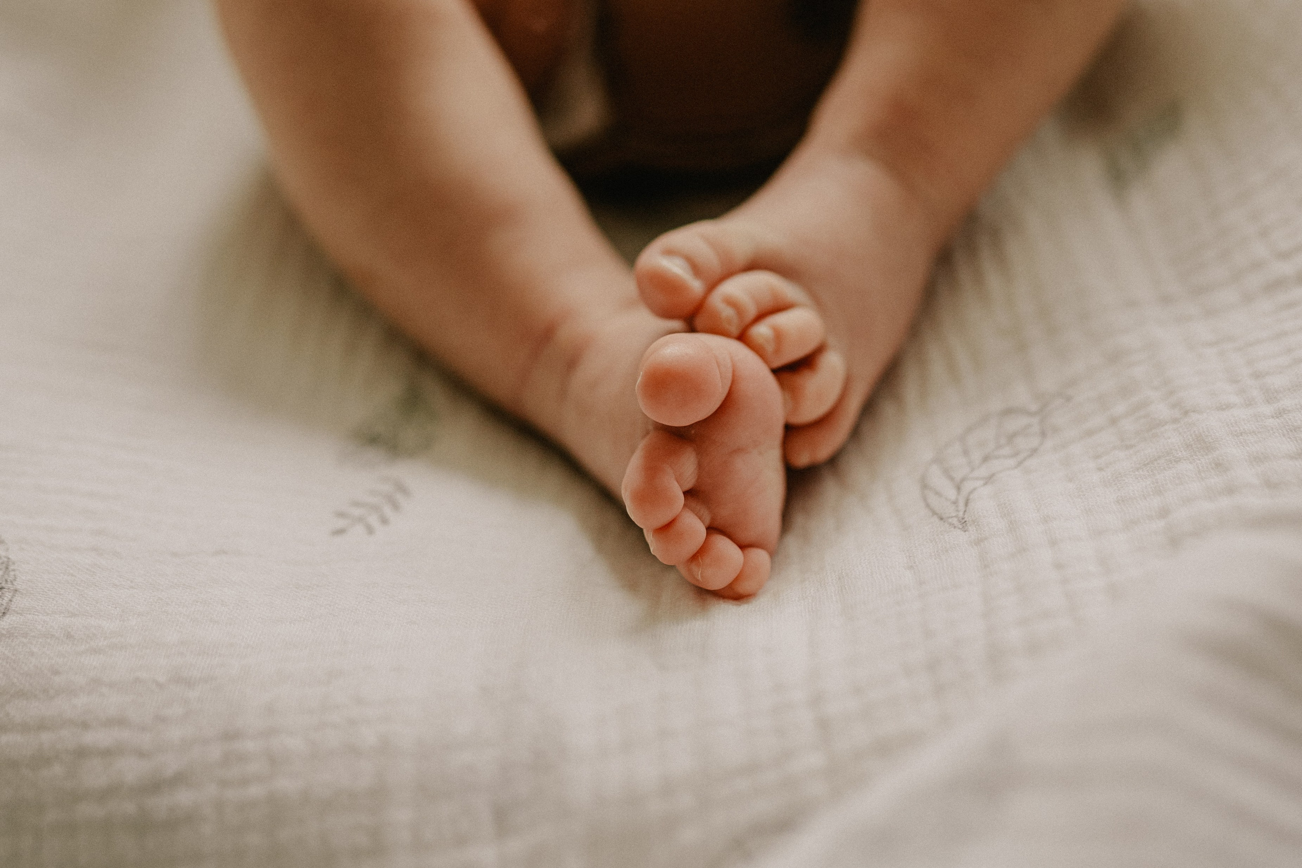 Ангелина, Ваня, Лиза. Семейный фотограф Москва