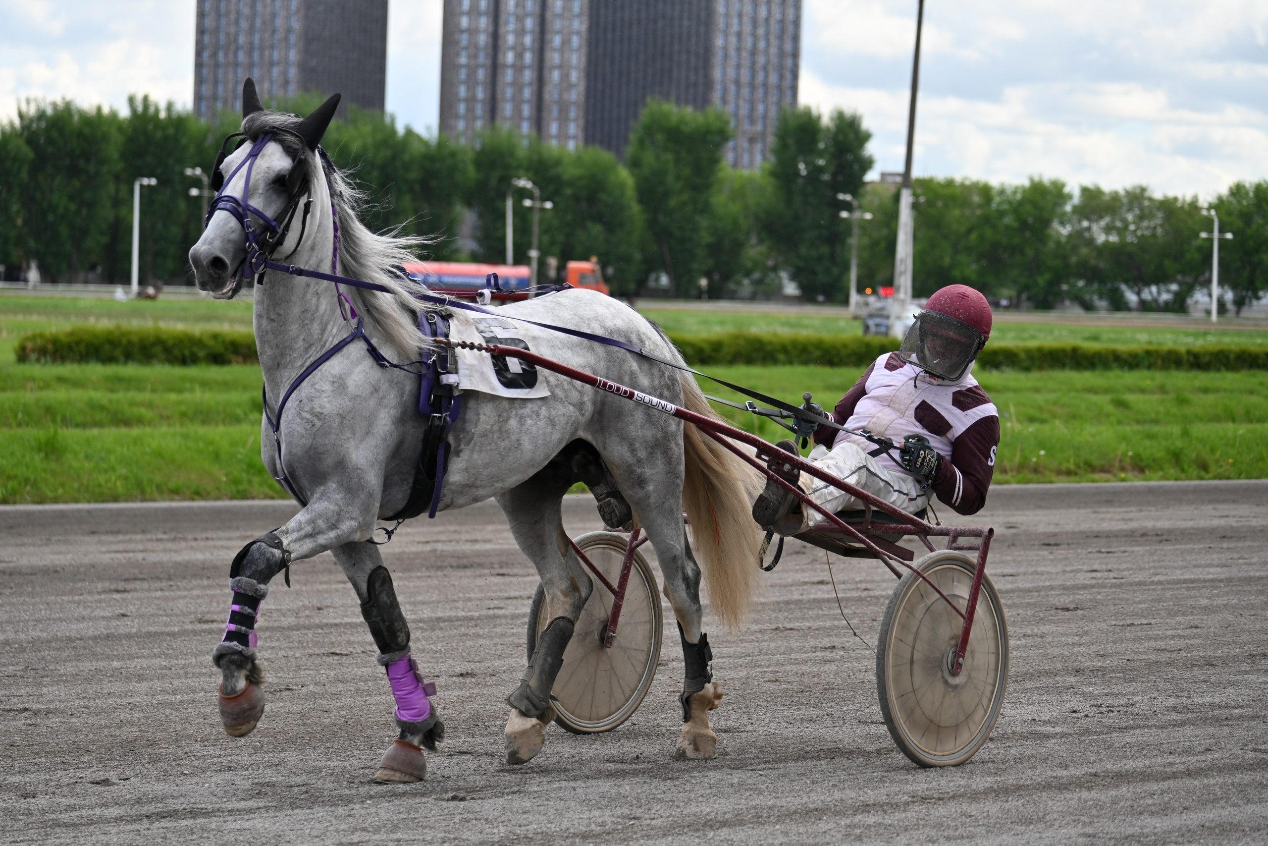 Ипподром (Москва). Fotolux