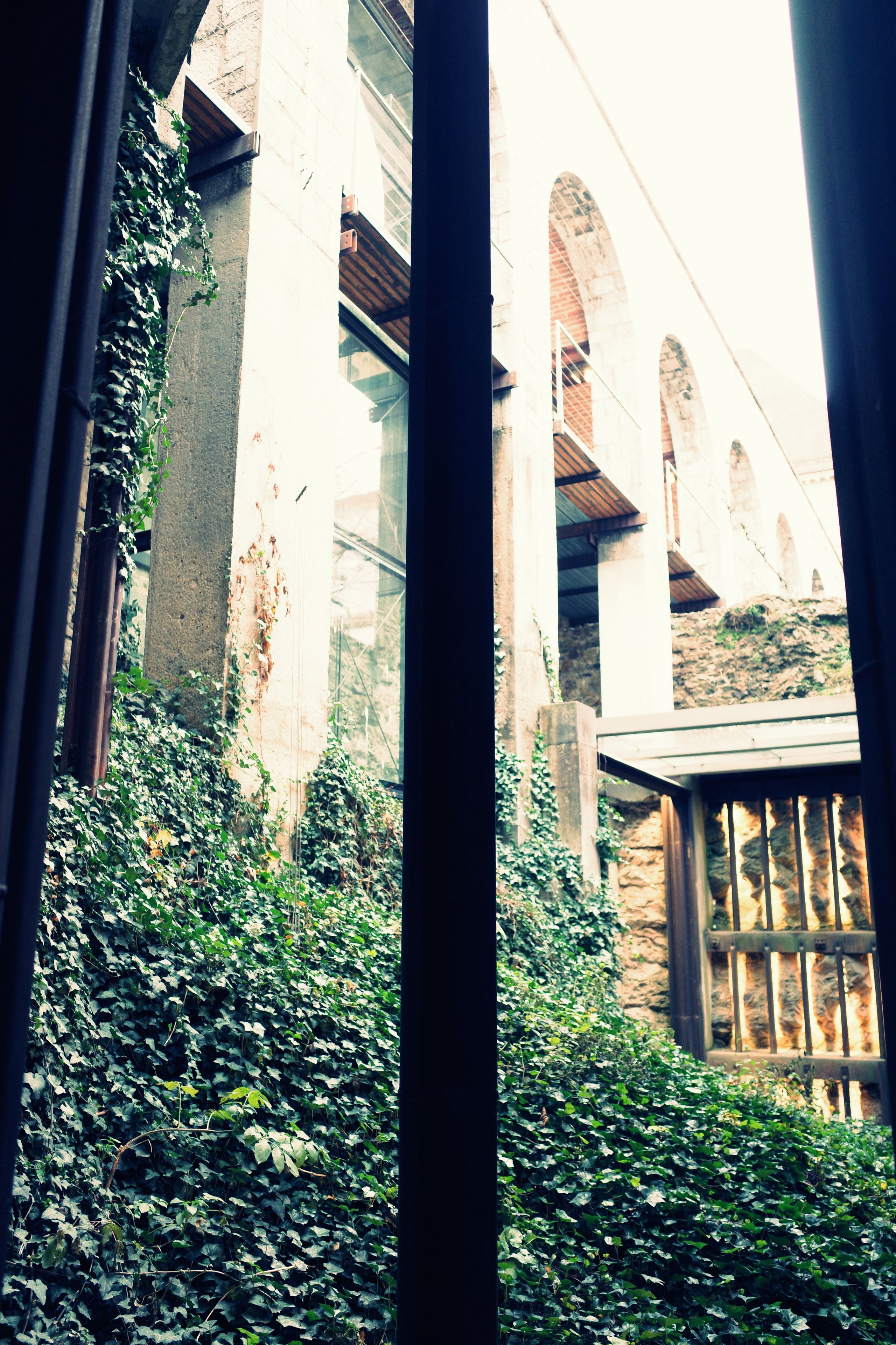 Словения. Фотографирую для себя, своей семьи и друзей!