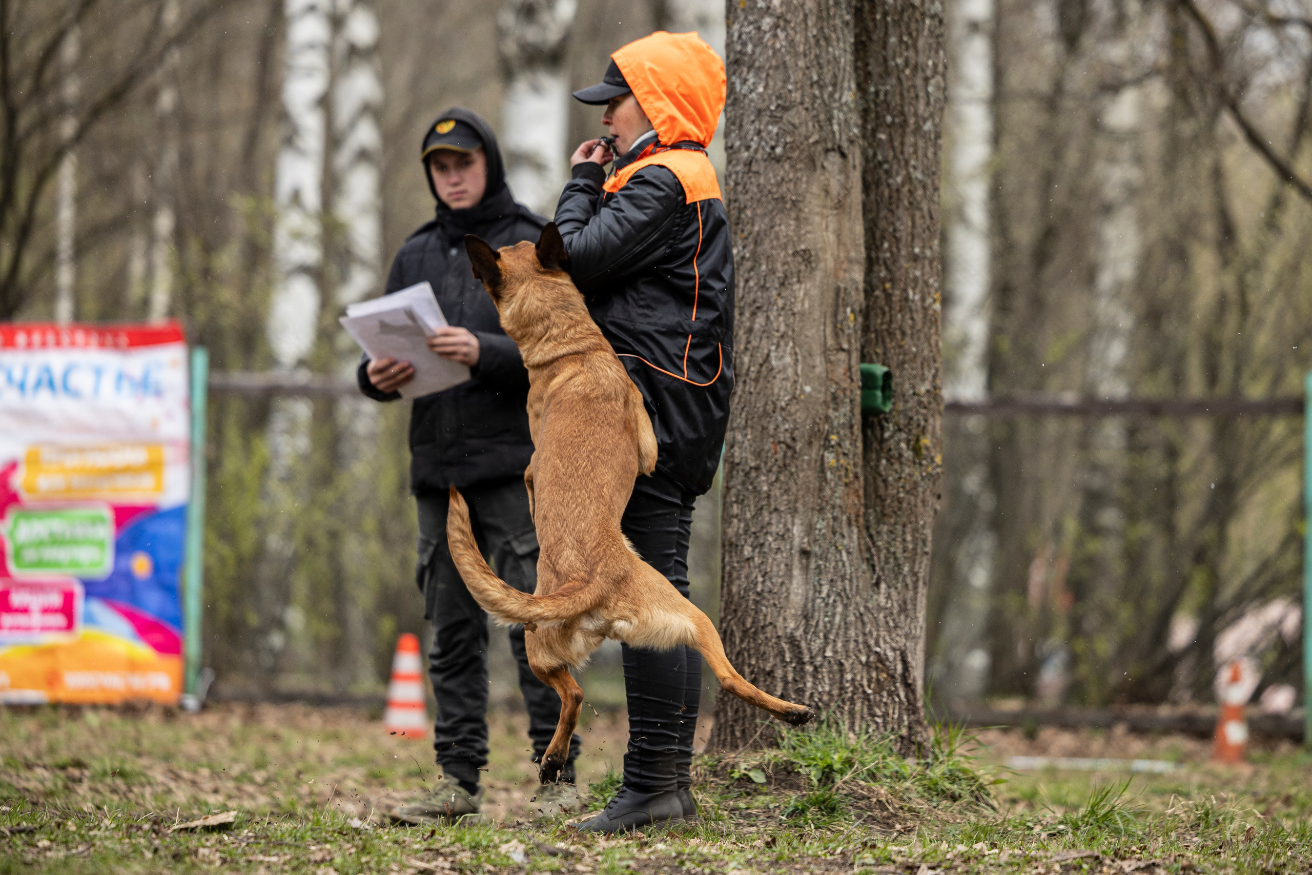 Квалификационные состязания по мондьорингу г. Вологда 11.05.24. Фотограф-анималист Анна Маринич