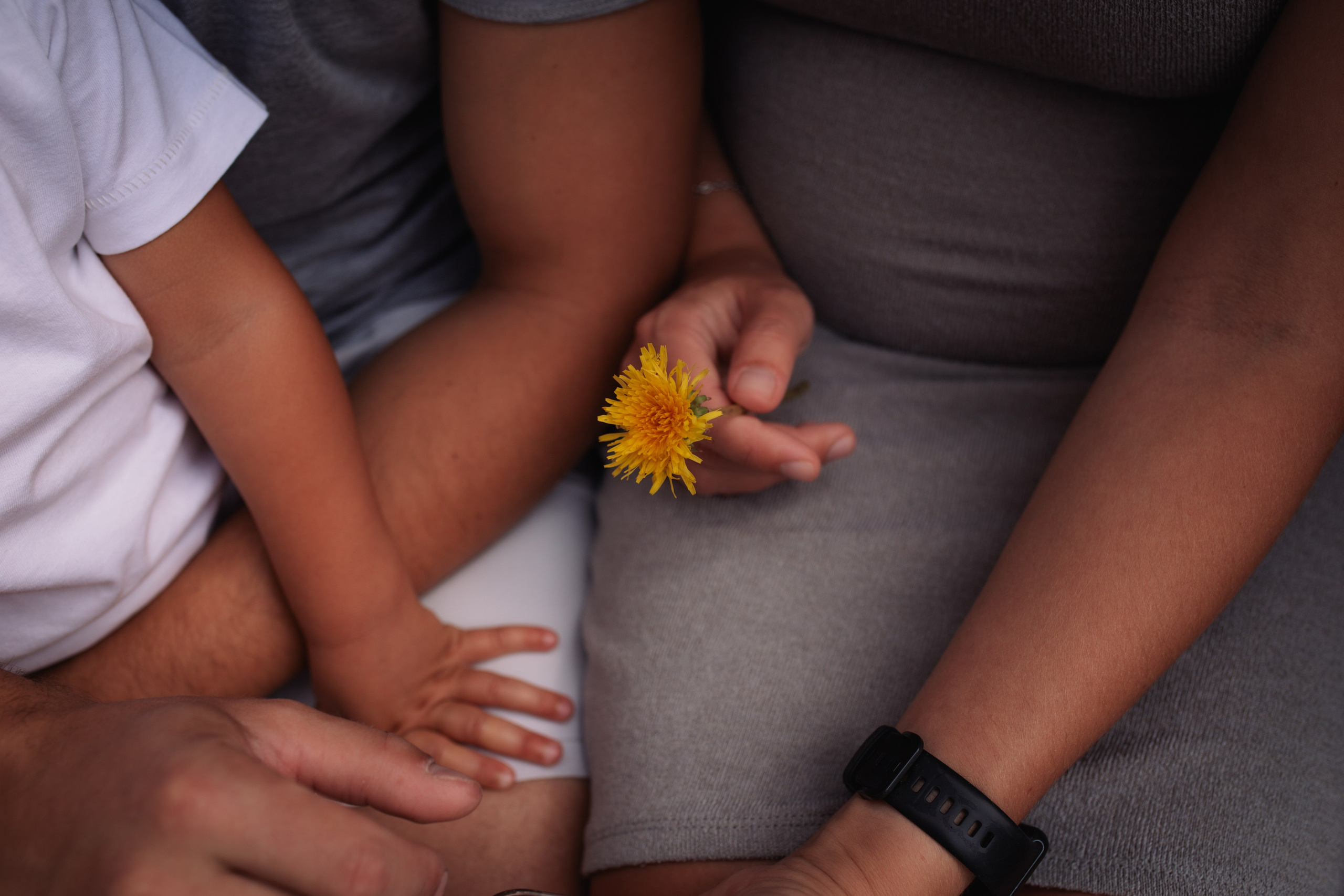 Семейная прогулка