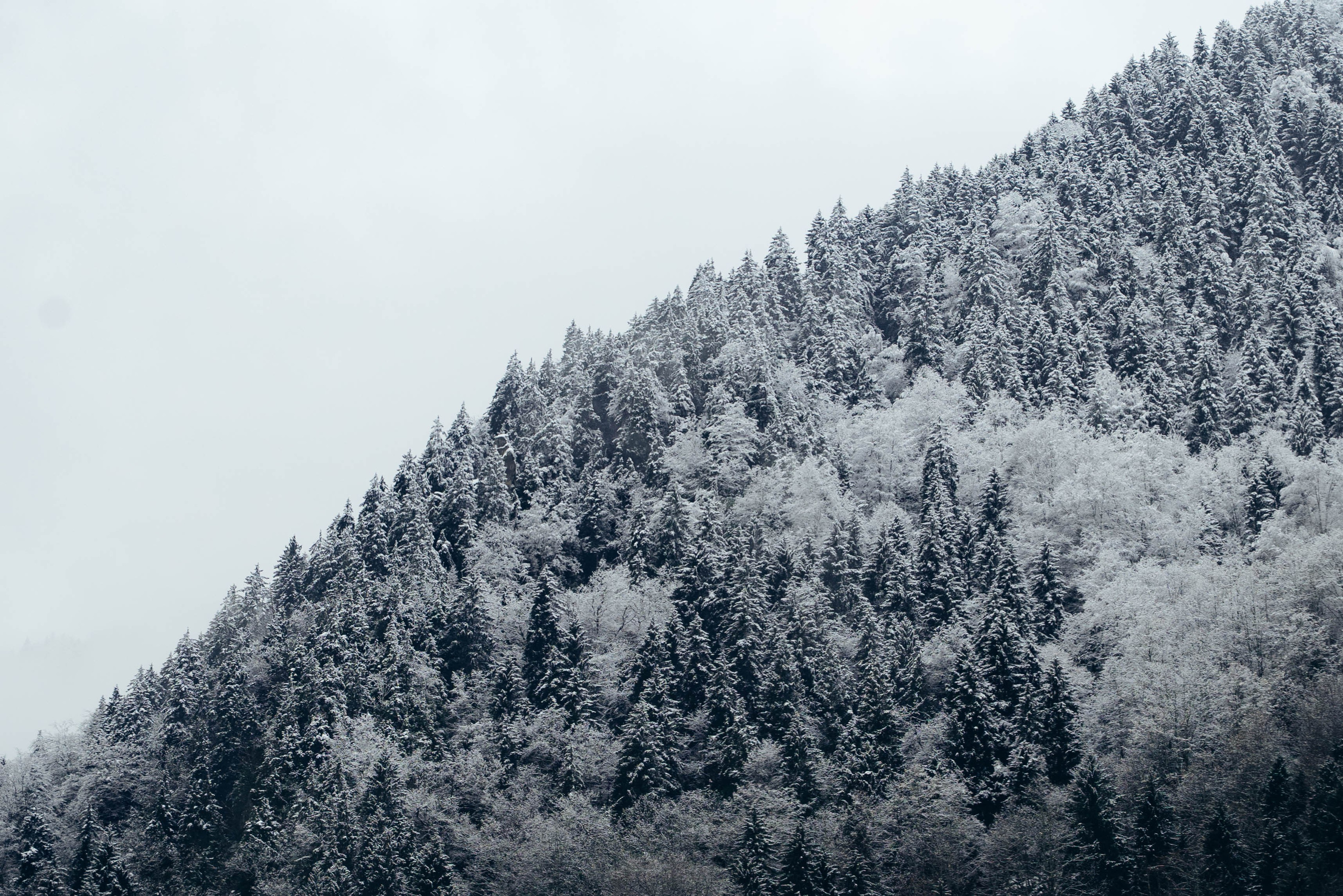 Ризе. Анна Лобанова | фотограф