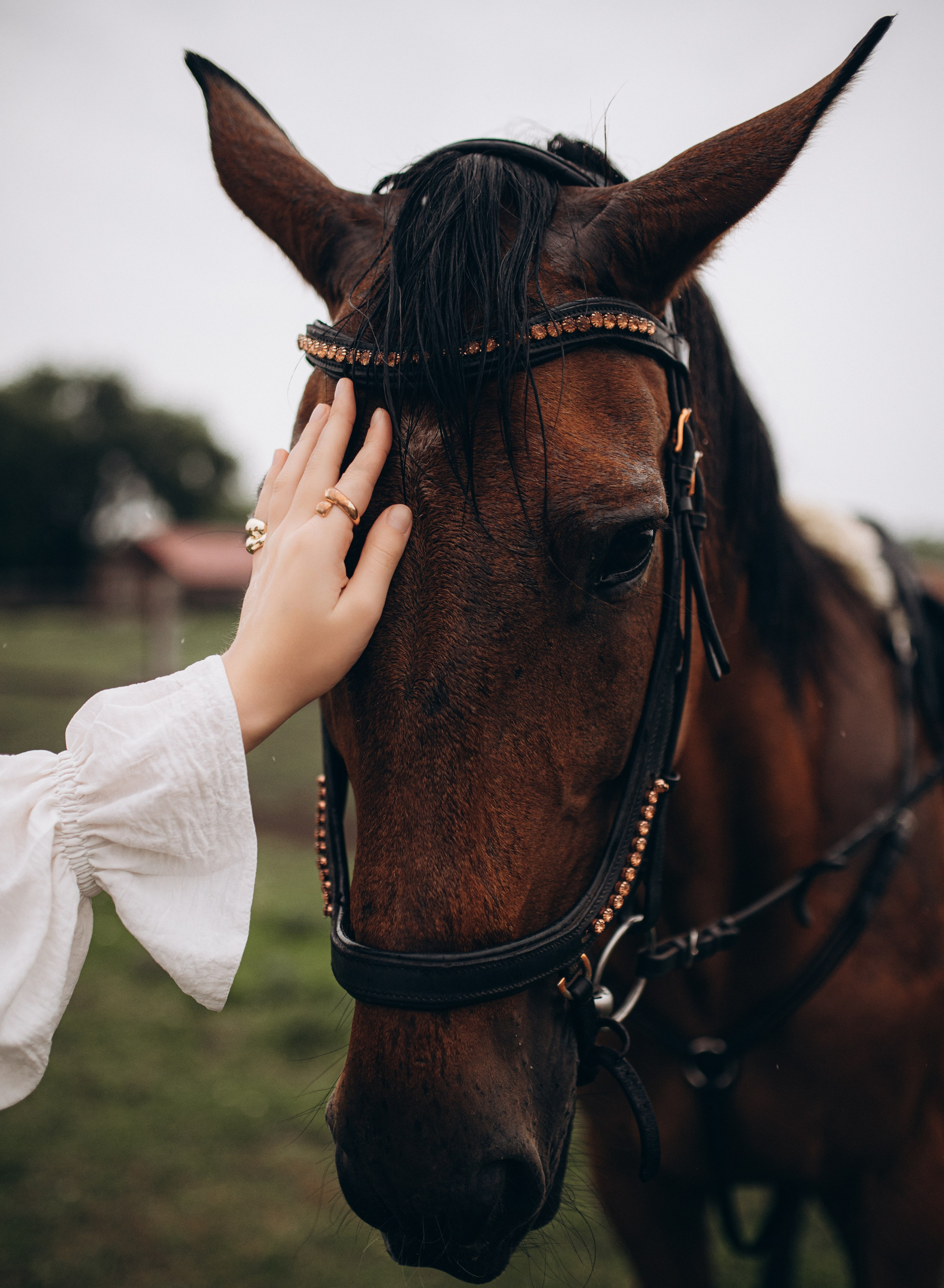Вероника. Свадебный и семейный фотограф в город Курске Алина Гайдукова