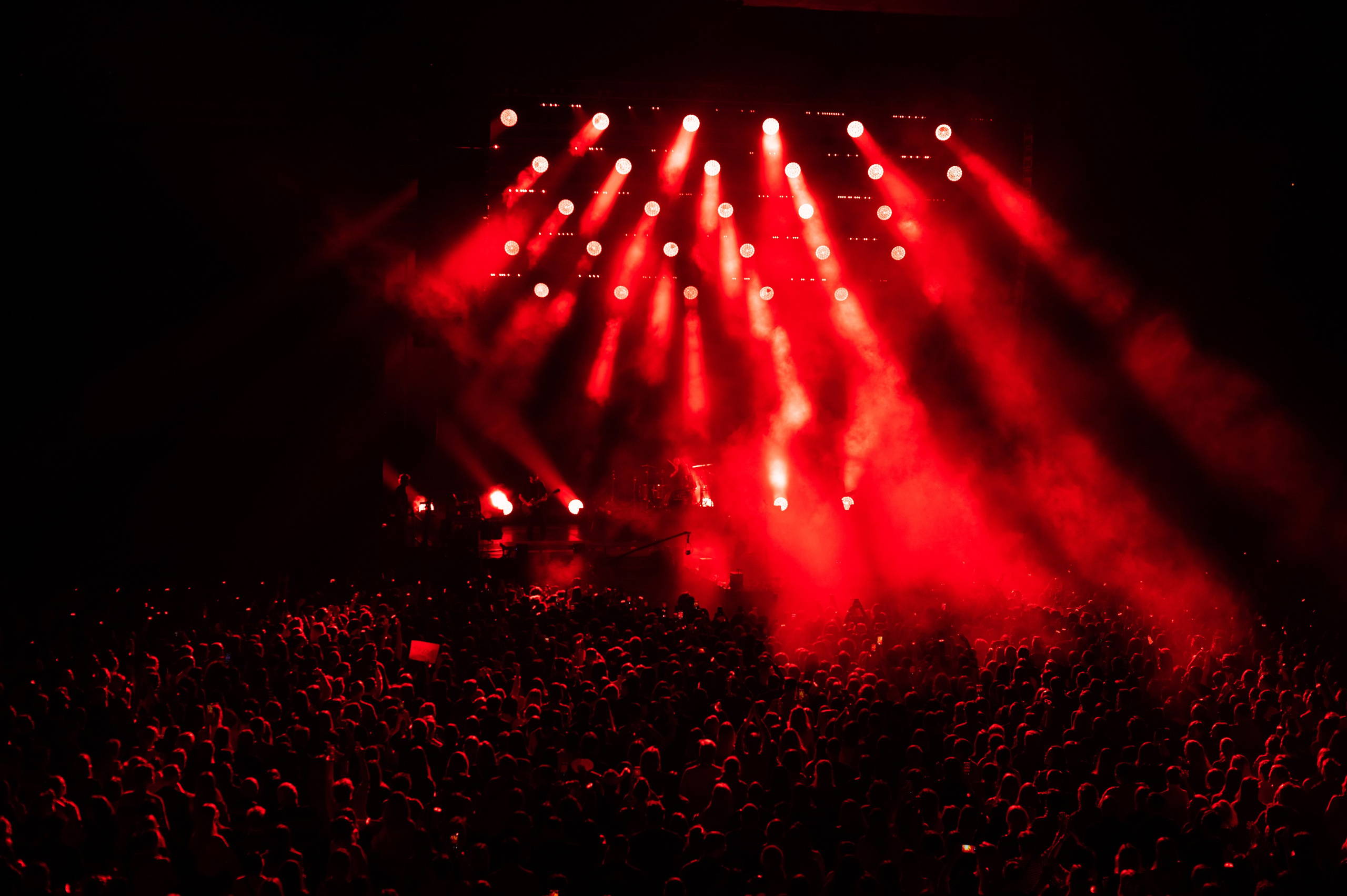 Диана Арбенина, Ночные снайперы, 11.12.2023, Санкт-Петербург. Фотограф в Москве, Оксана Ребристая