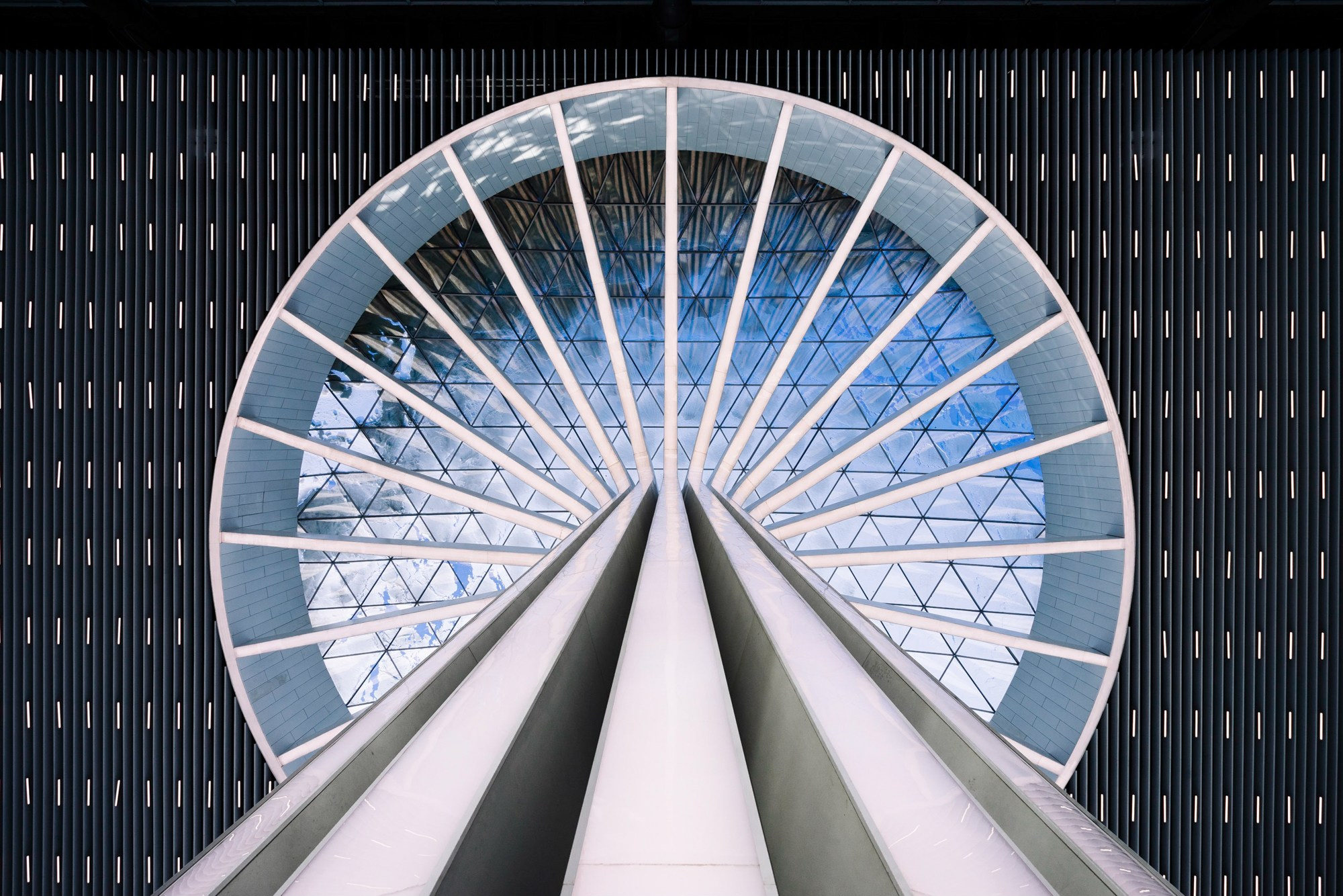 Открытие I Аэропорт Толмачево. Фотограф Новосибирск I Дамдинов Бато