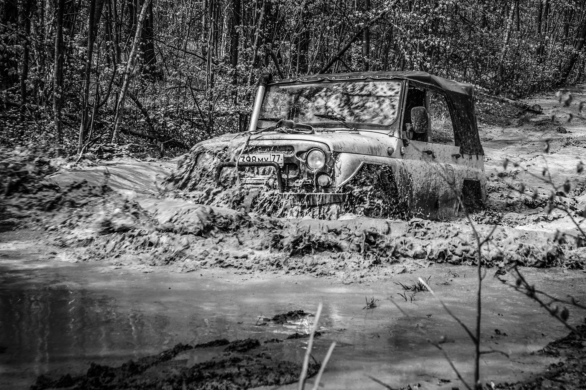 Репортаж. Портретный и семейный фотограф в Москве Волгина Анастасия