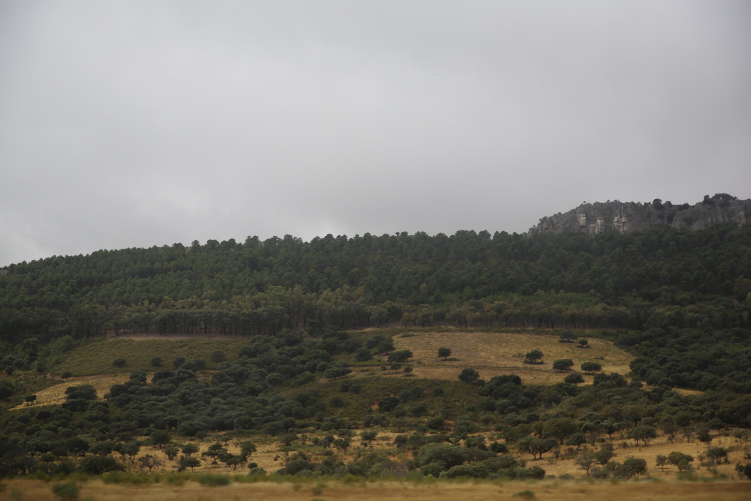 Lisbon, Portugal. Andrey Filippov Photographer