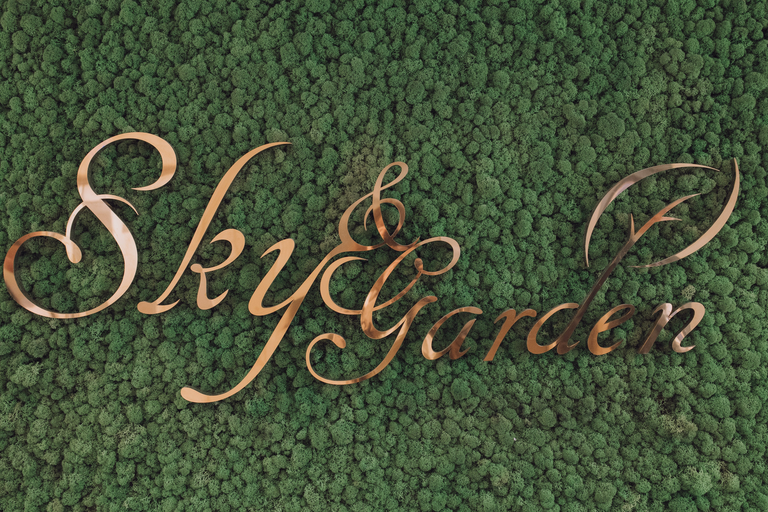 Даша и Максим. Репортажный фотограф Анастасия Головко