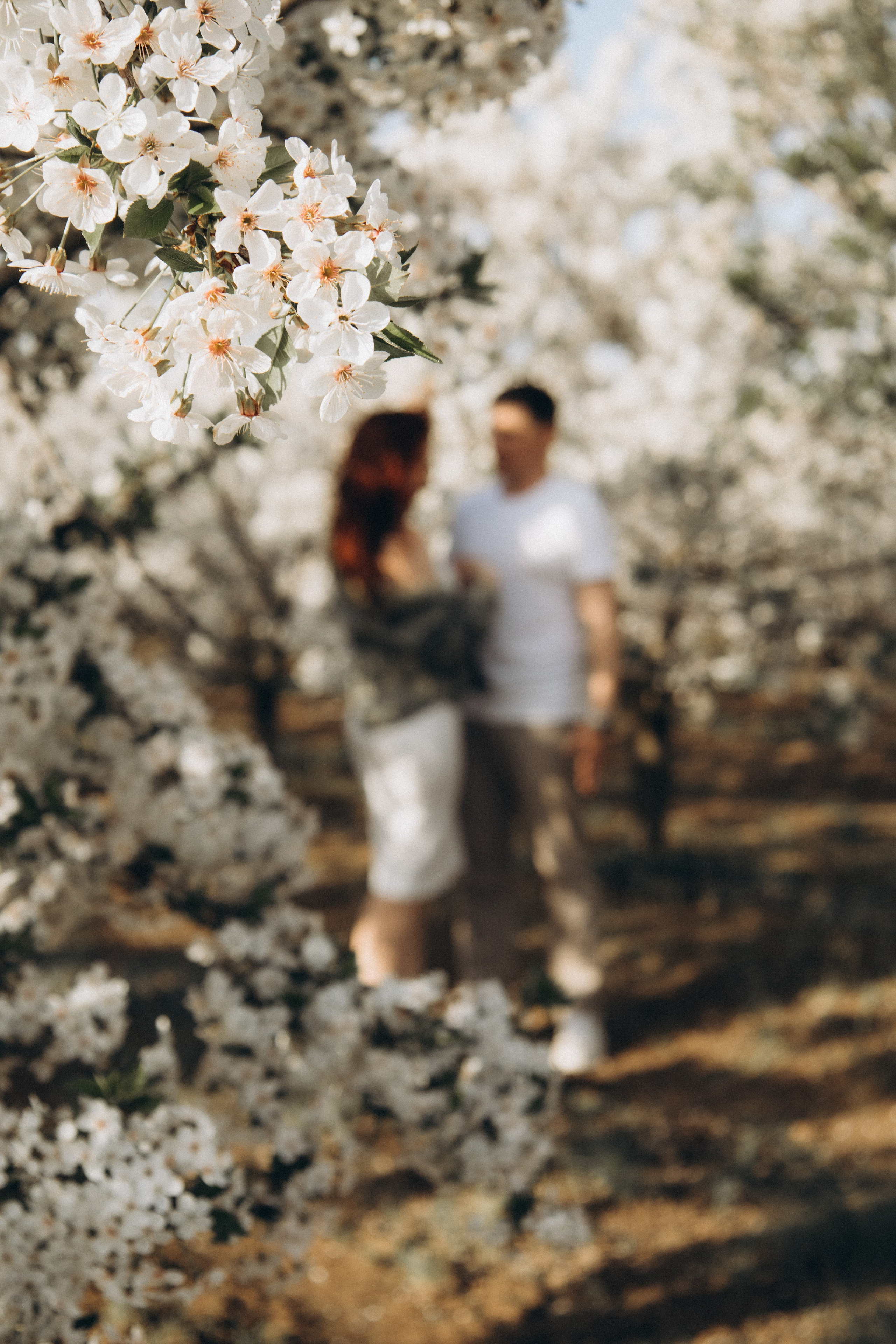 Семейная. Фотограф Оксана Пономарева