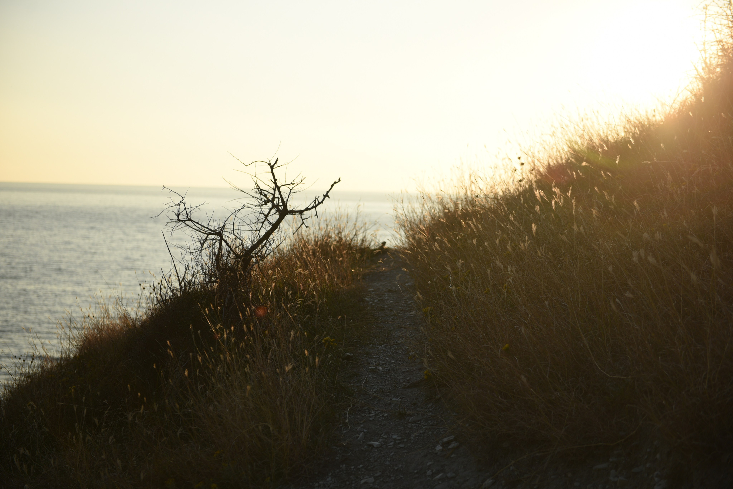 Presence. Anastasia Serdyuk, travel photographer, travel photo, portraits, stories, fineart prints