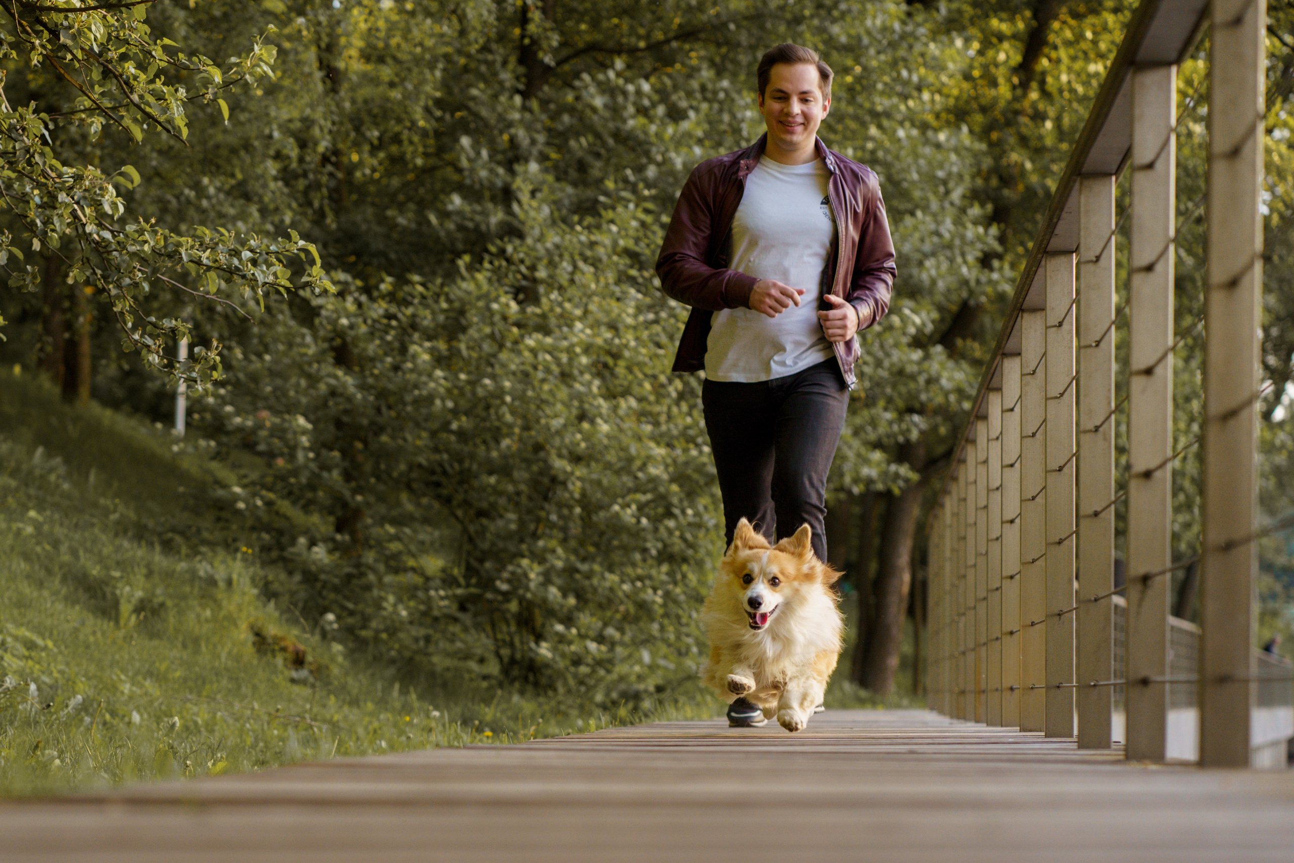 Катя, Арсений и Пух. Свадебный фотограф в Москве Анна Полушина