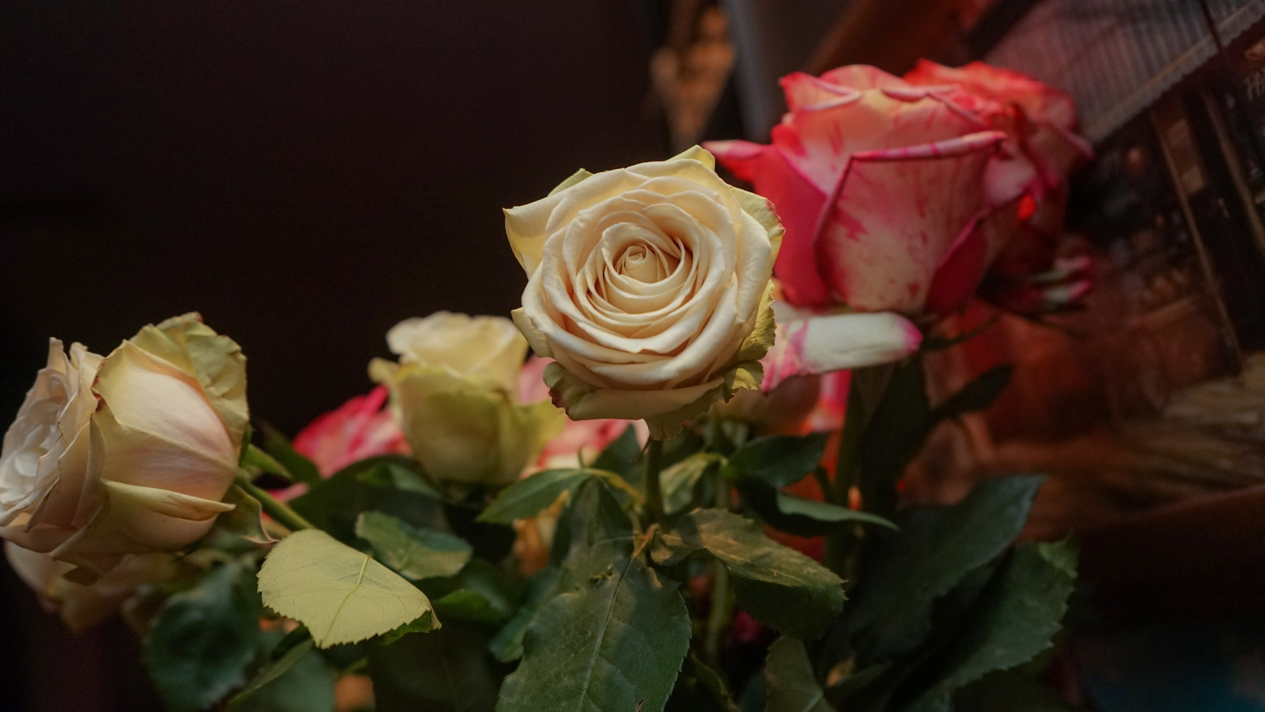 Музыкальная вечеринка | 07.03.2020 г. Галерея Фантим