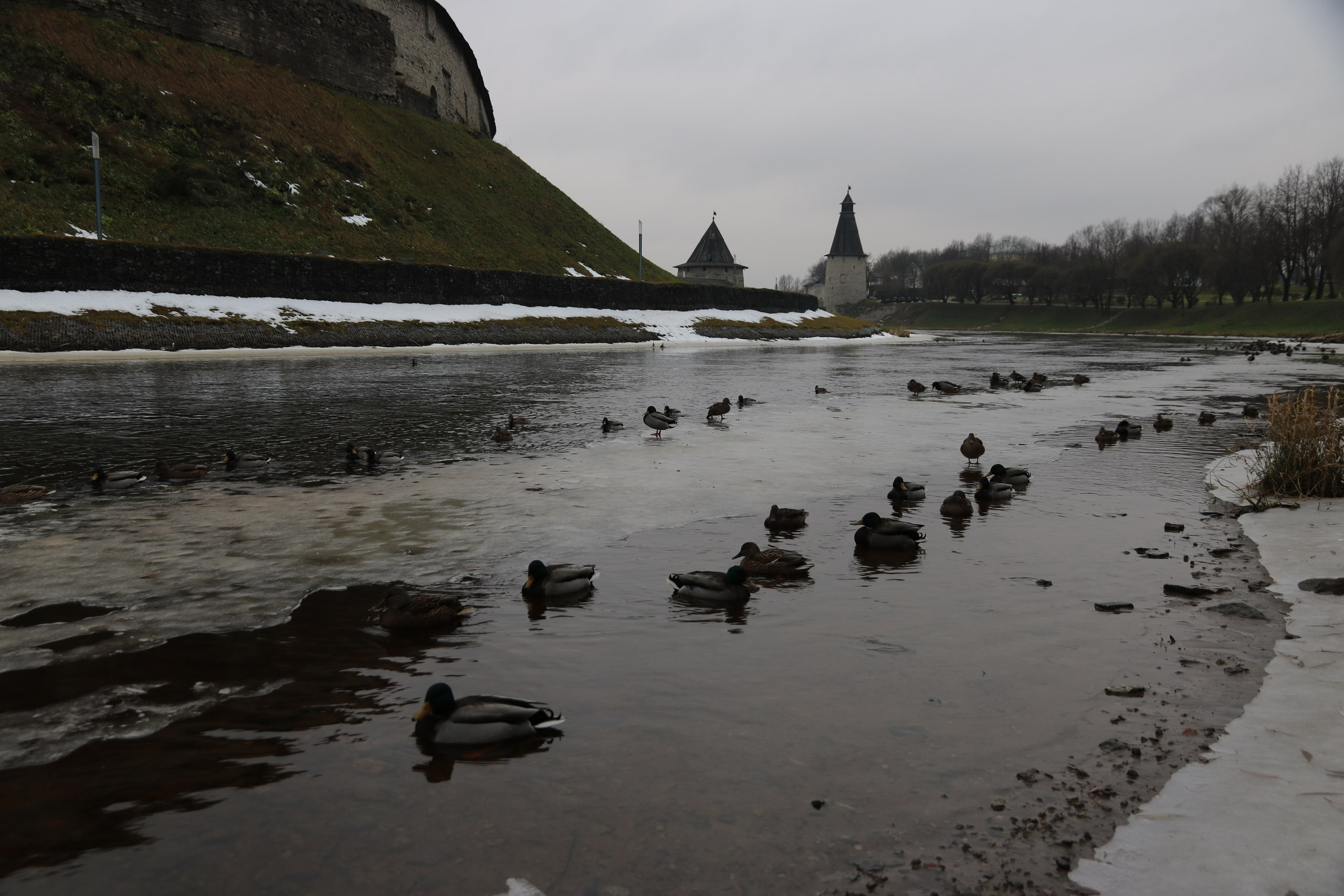 Псков | 18-20.11.2016. Галерея Фантим
