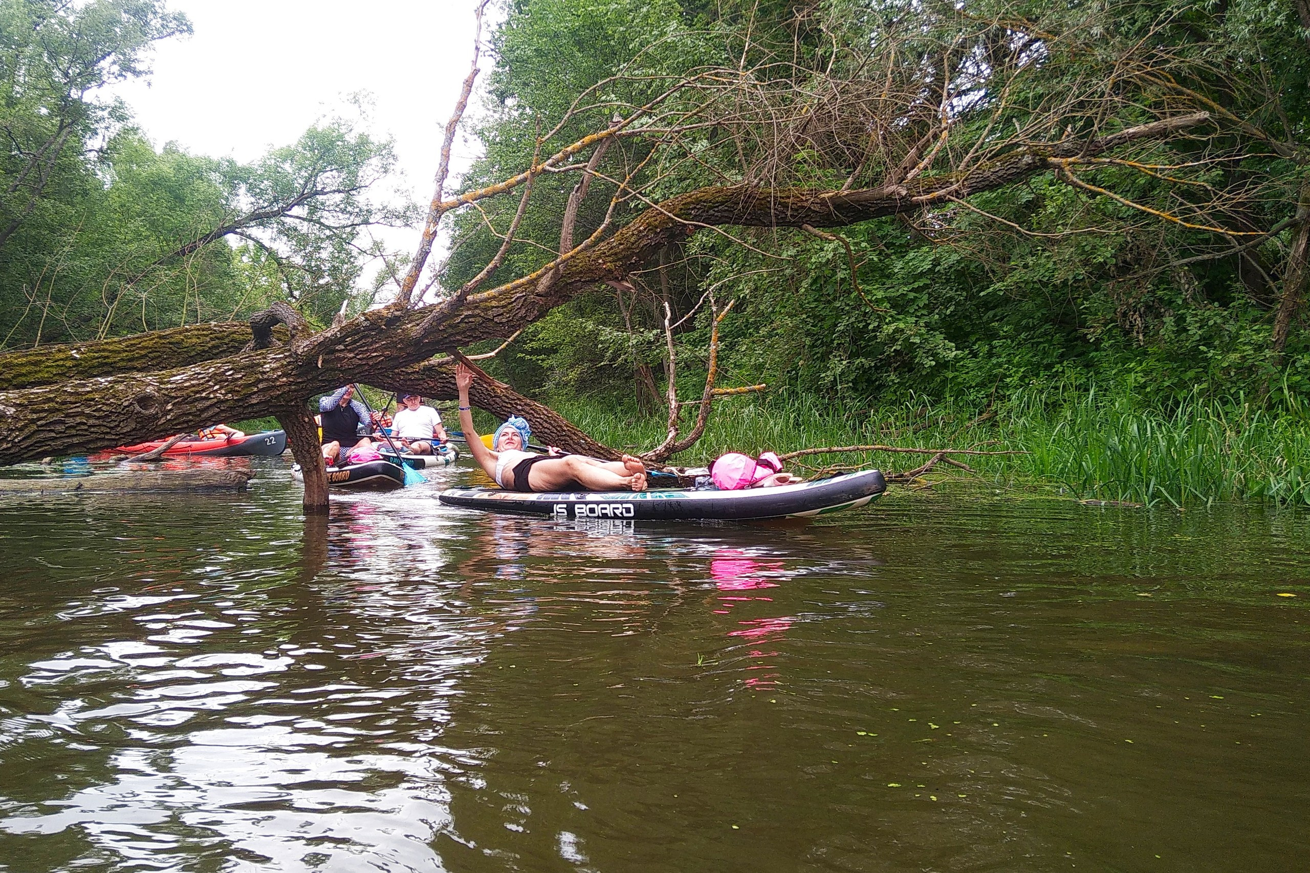 Сплав на сапах | 16.06.2024. Галерея Фантим