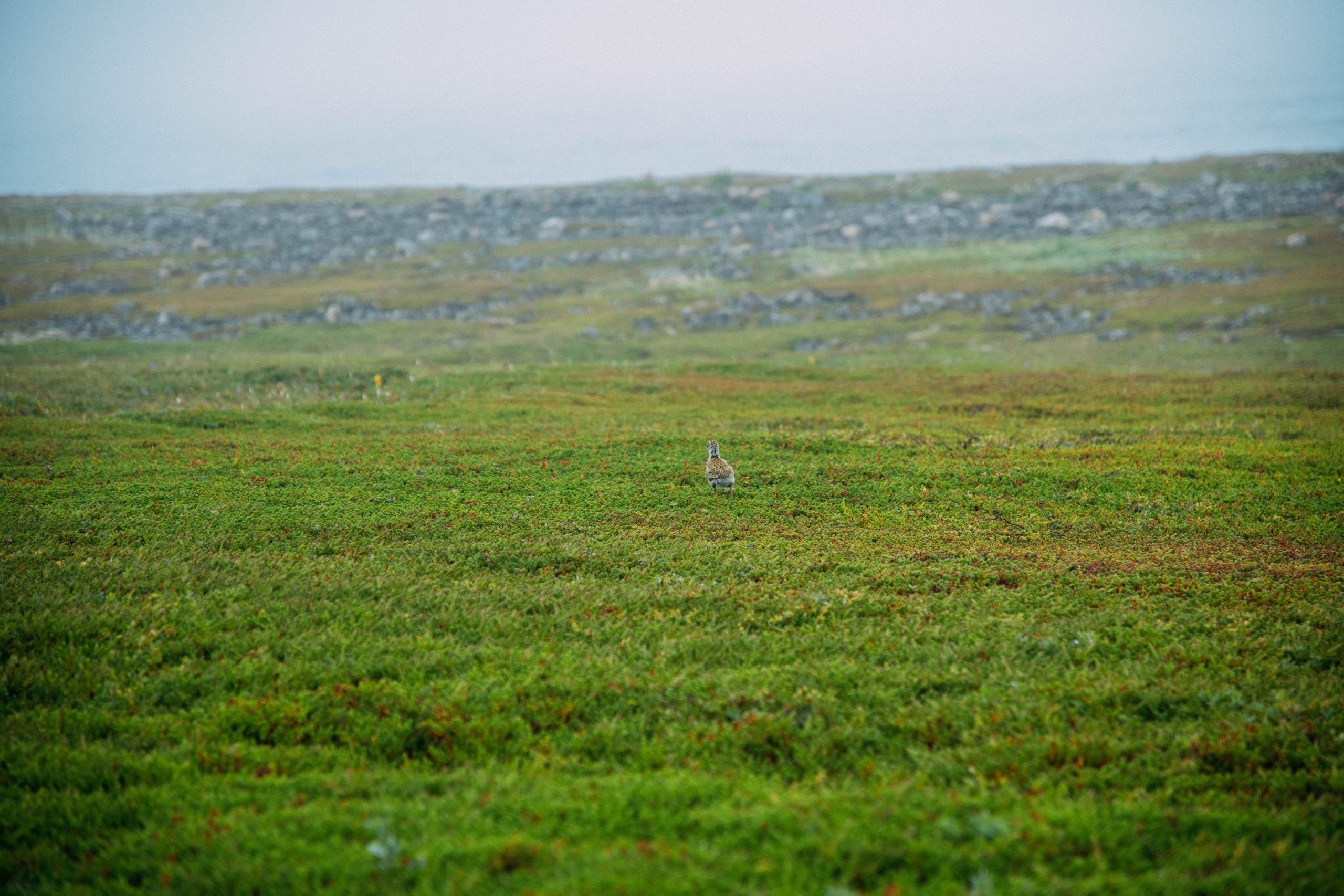 Кольский полуостров. Фотографирую для себя, своей семьи и друзей!