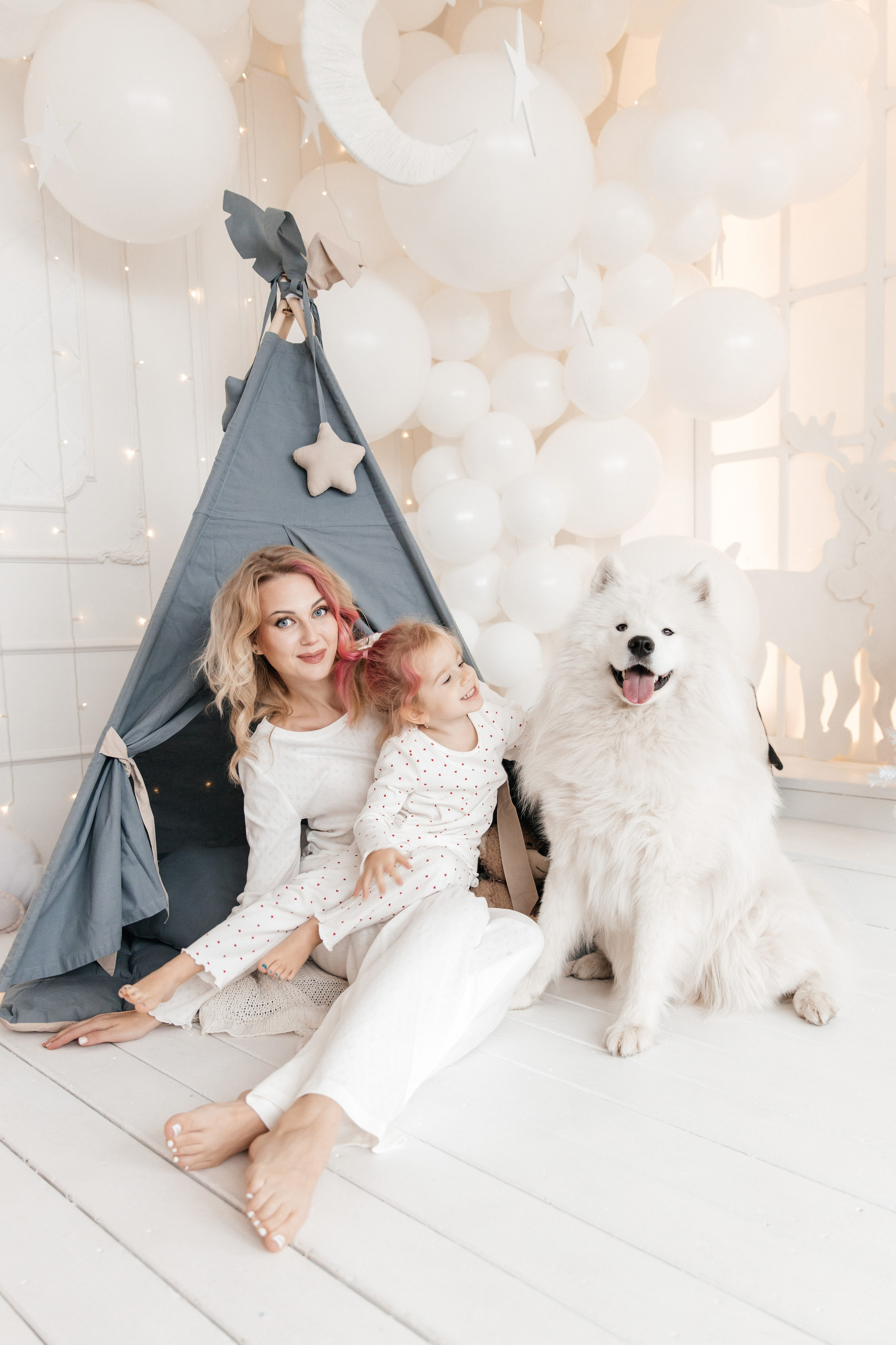 Фотосессия с самоедами Новосибирск