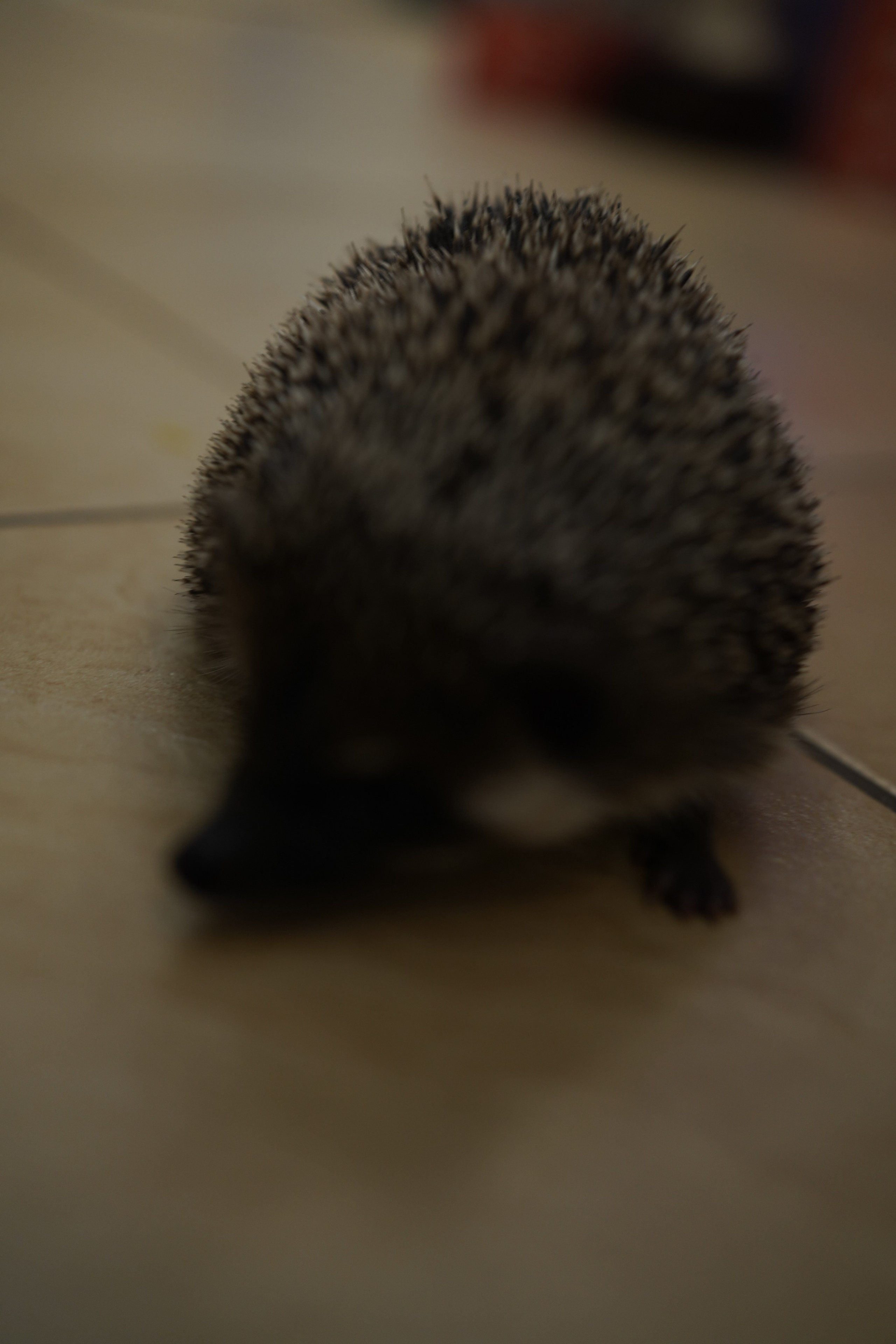 НГ 2020. Заставка