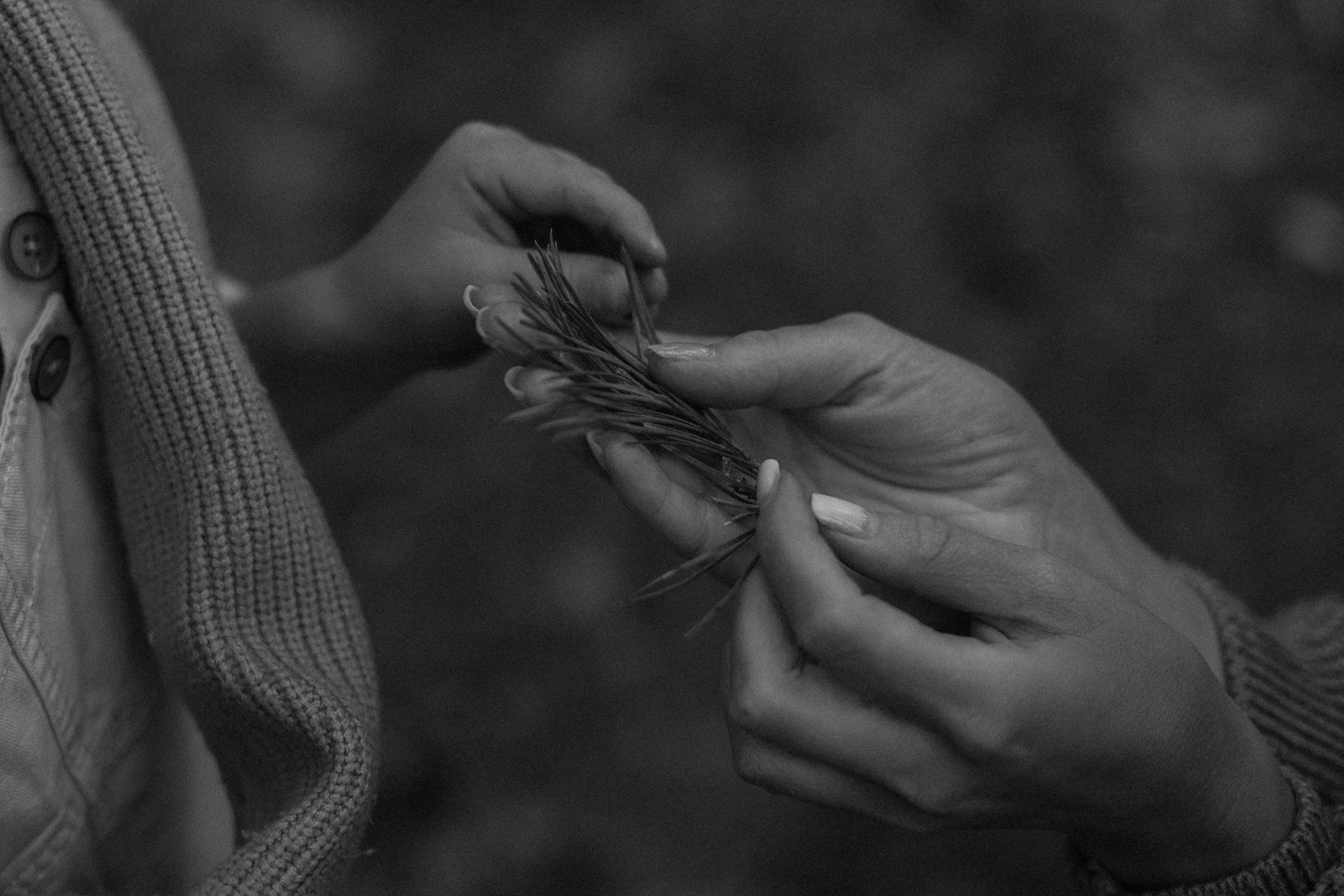 Дротики. Фотограф — Ольга Косолюкина