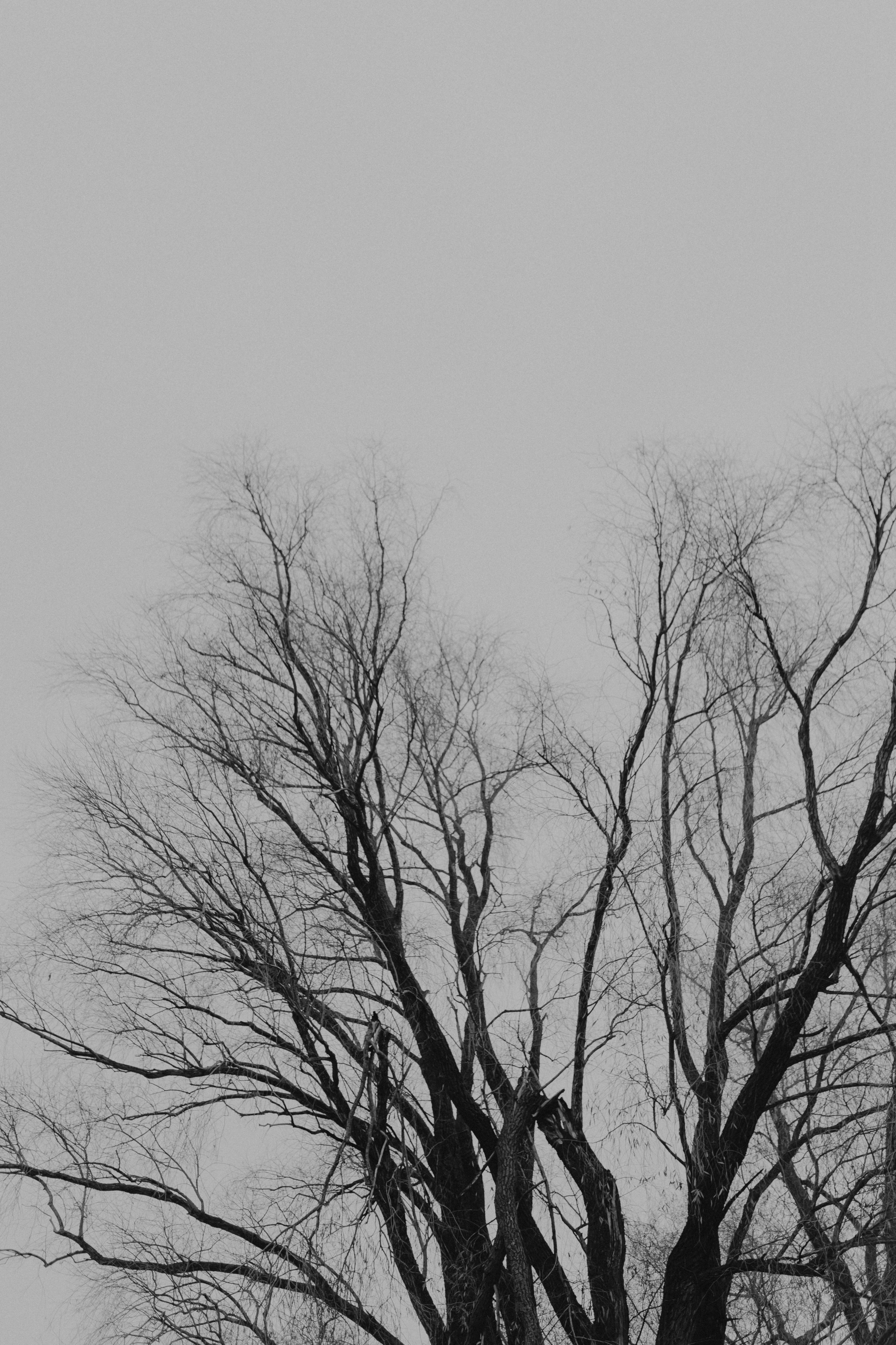 Диана и Антон. Свадебный и семейный фотограф Женя Добрянская в Нижнем Новгороде