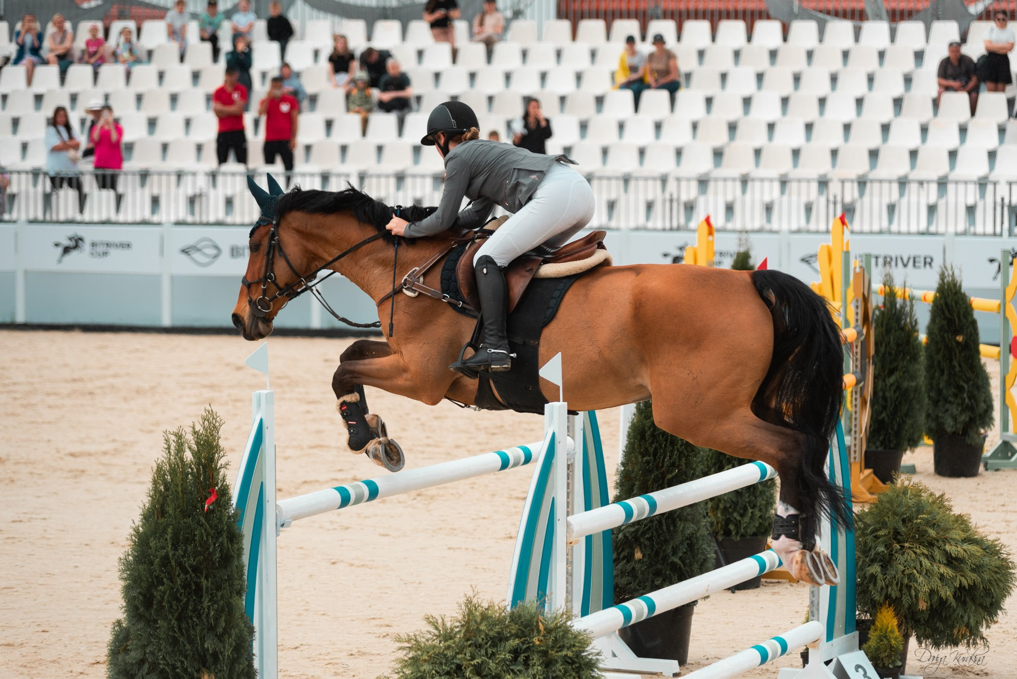 BITRIVER CUP 2023. Конный фотограф Куракина Дарья • Фотосессии с лошадьми