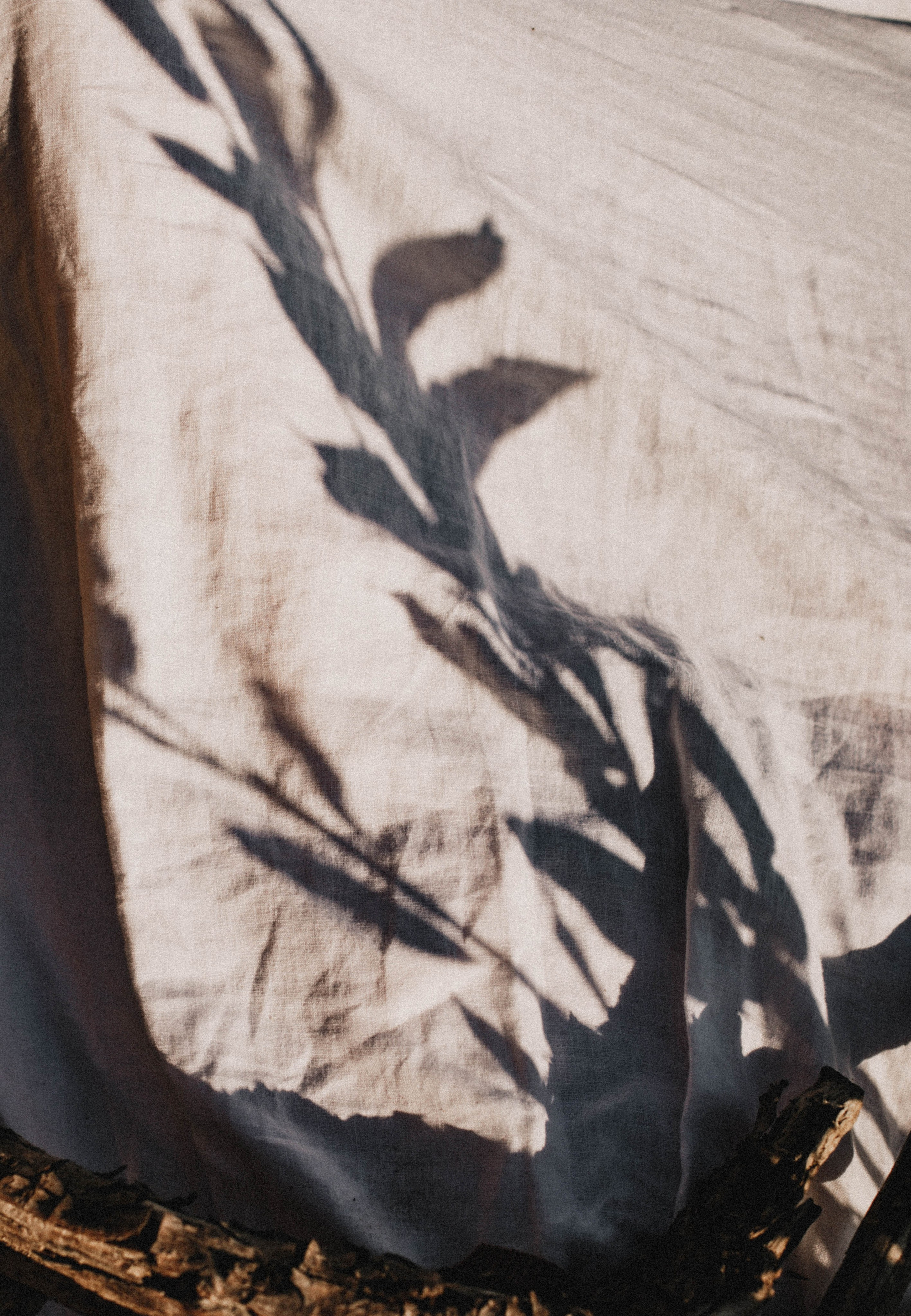 Эльвира. Фотограф в Нижнем Новгороде