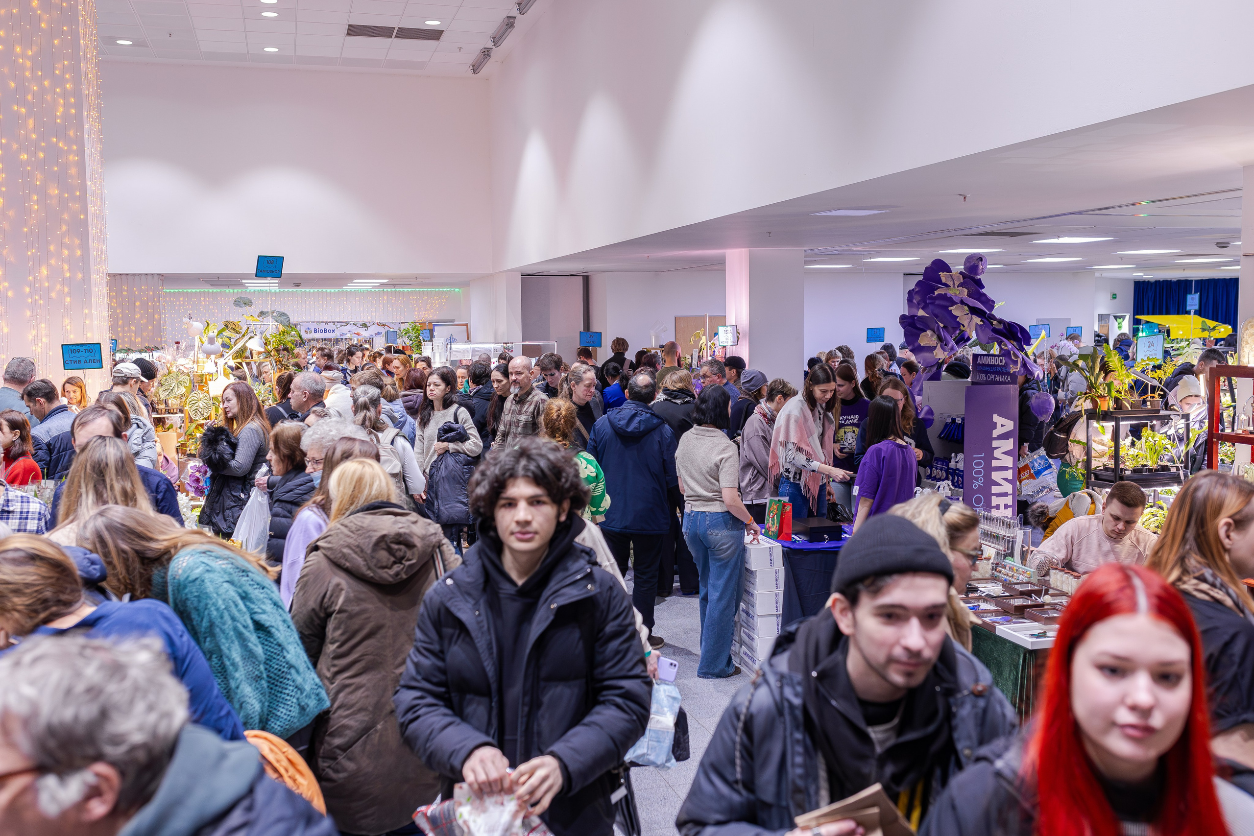 Орхидиум 12.2025. Александра Куликова фотограф, Москва