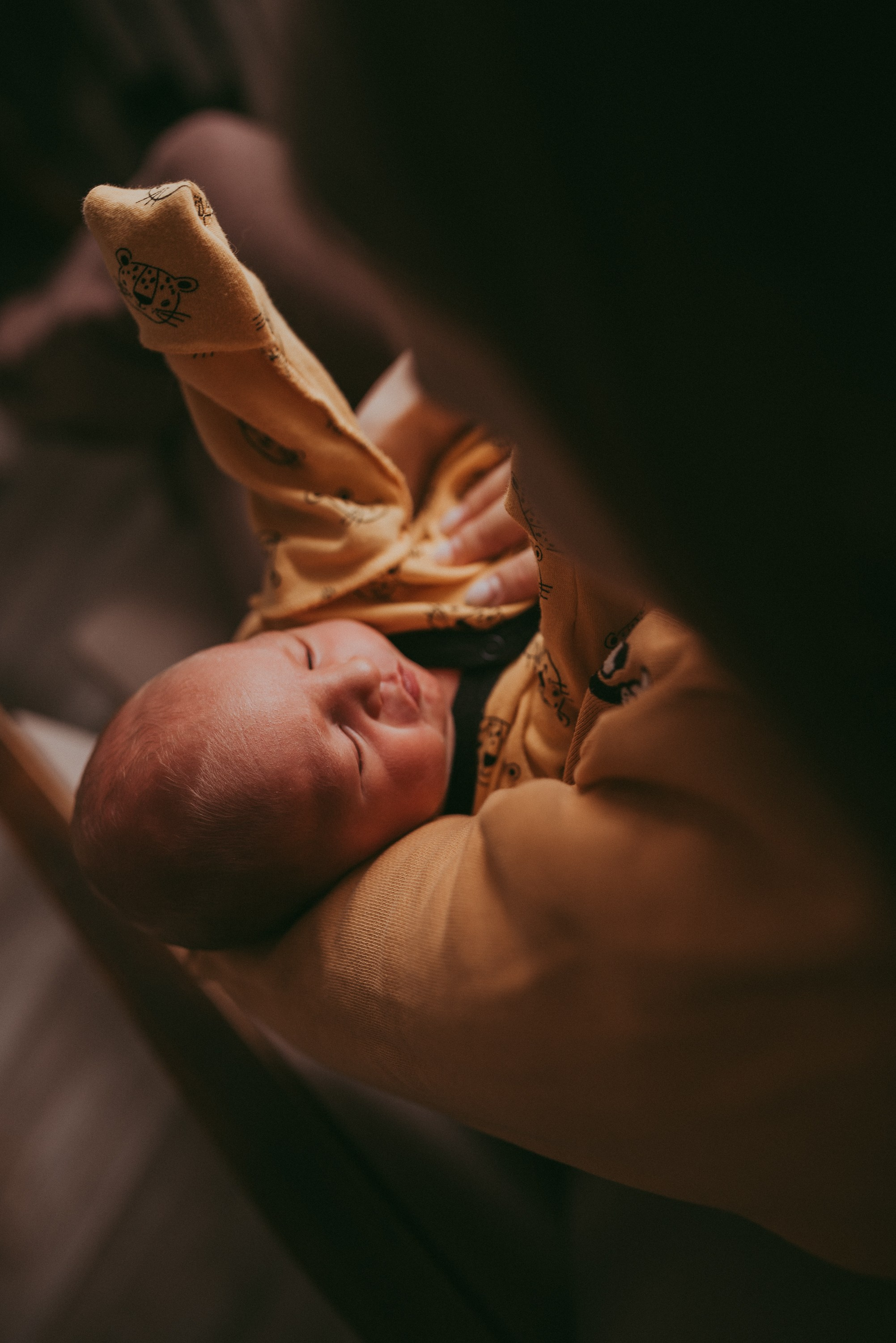 Маленький космос. Семейный и детский фотограф в Новосибирске и Краснообске — Анна Ким