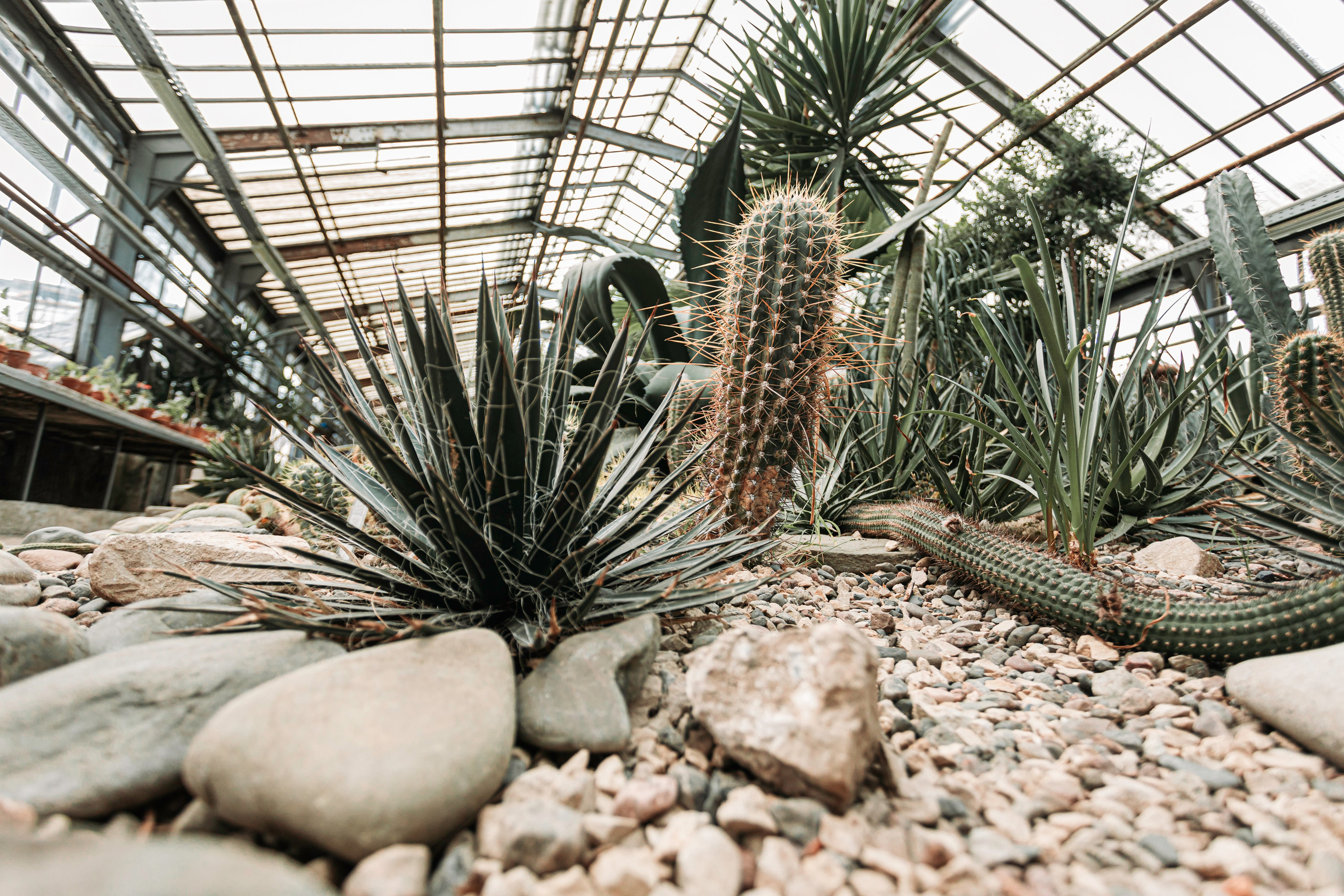 ШАЛОСТЬ УДАЛАСЬ