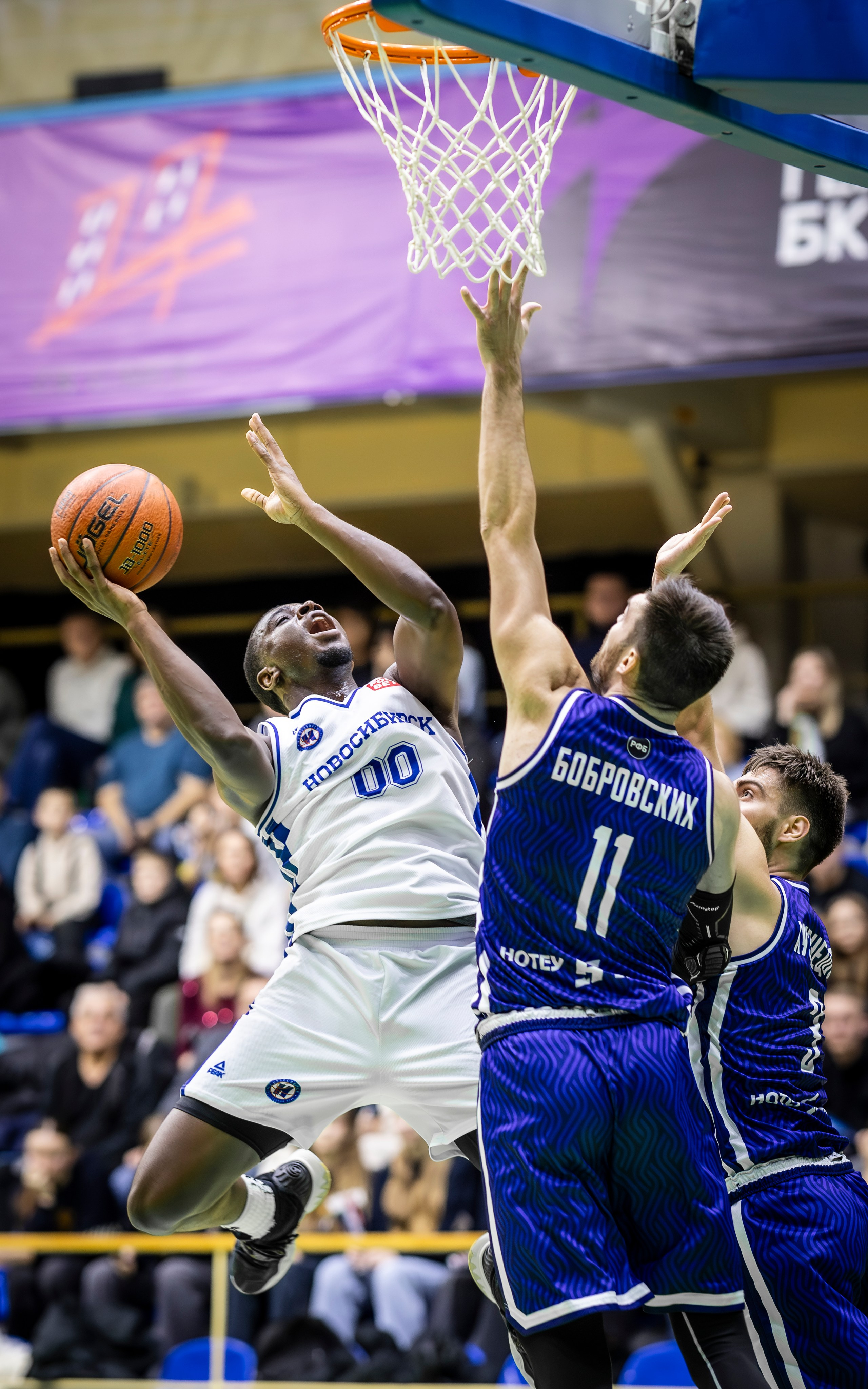 БК Новосибирск. Bertran Ordo