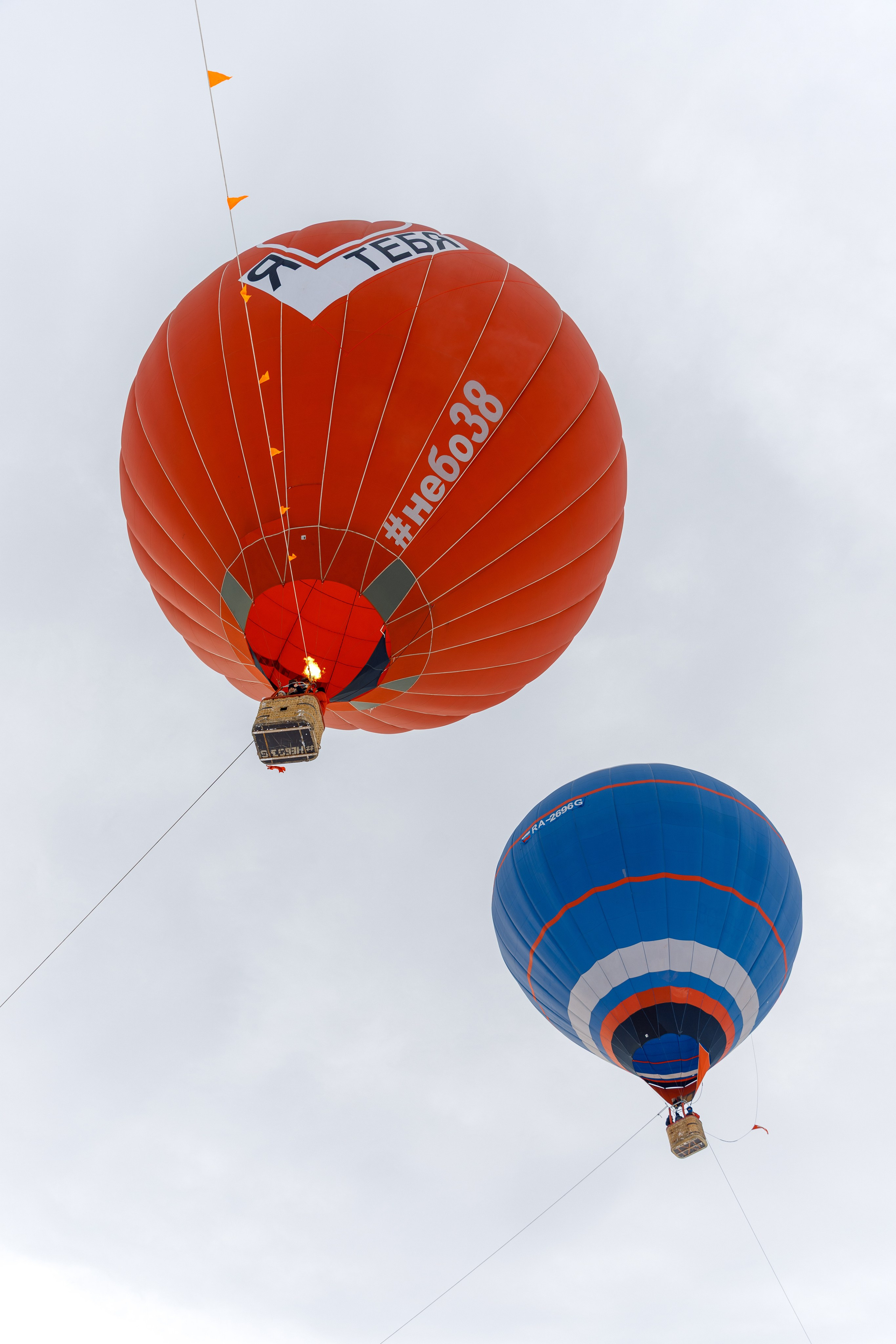 ЯБЛОКИ НА СНЕГУ. Свадебный фотограф Иркутск, репортажный фотограф Иркутск