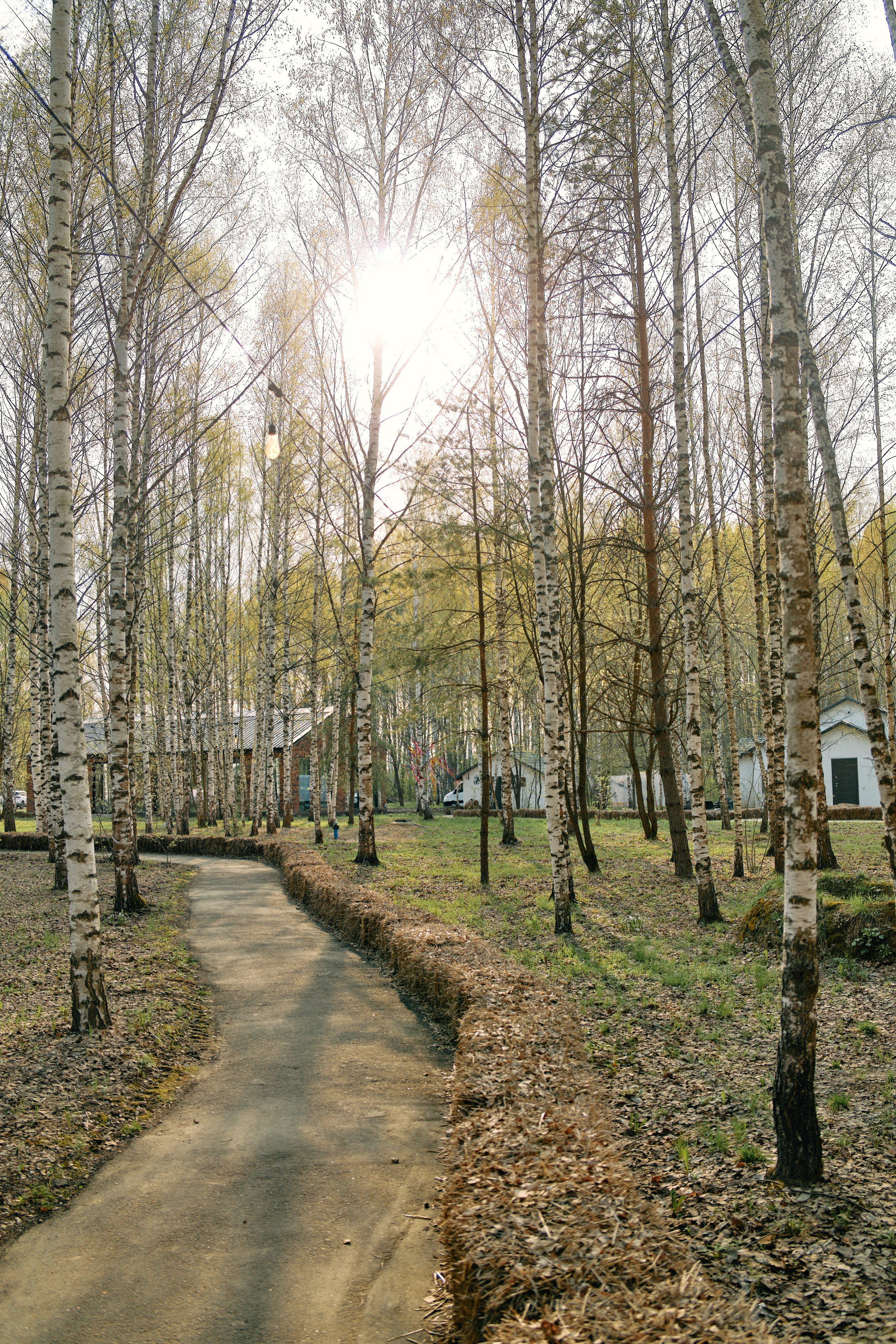 Бутик-отель Поле летом. Профессиональный Фотограф во Владимире, в Москве и в Суздале — Полина Романычева