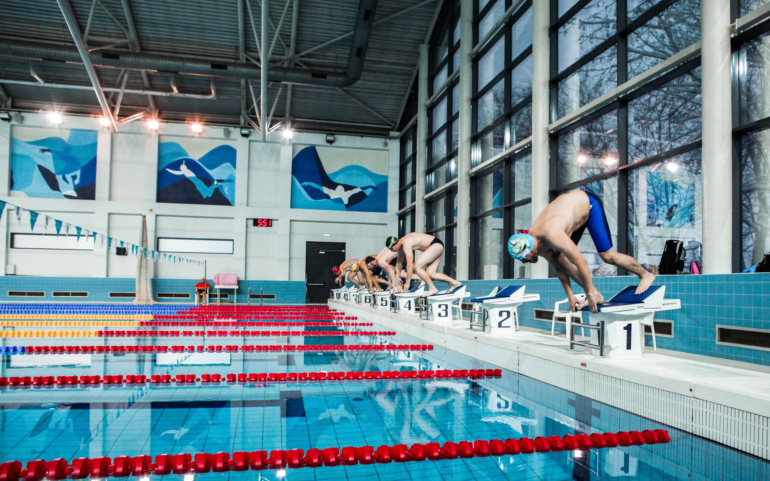 Соревнования по плаванию. Репортажный, семейный, свадебный, портретный фотограф
