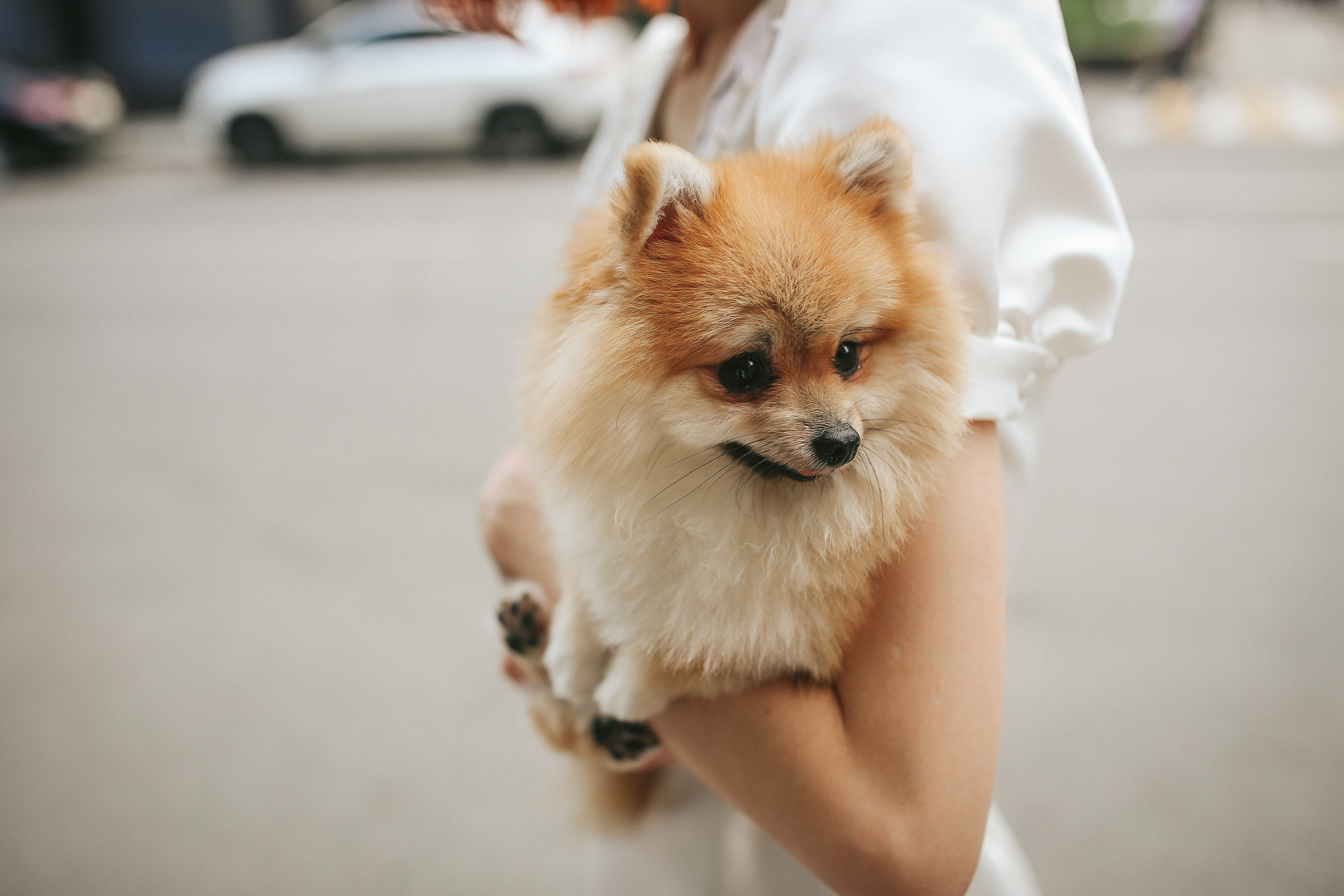 Nadin & Victor. Ekaterina Buneeva Photography