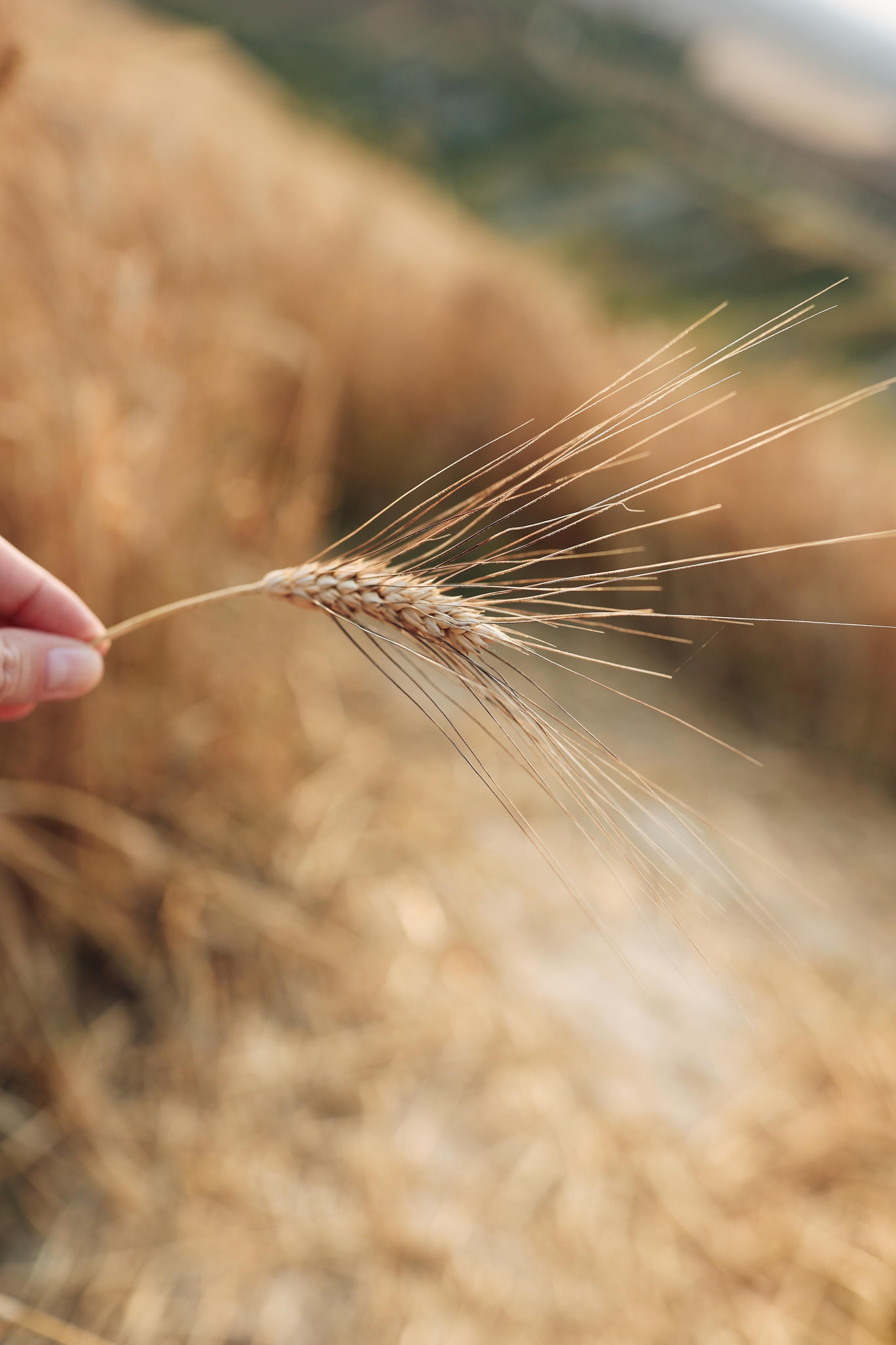 Italy. From Dolomites to Toscana. Ekaterina Buneeva Photography