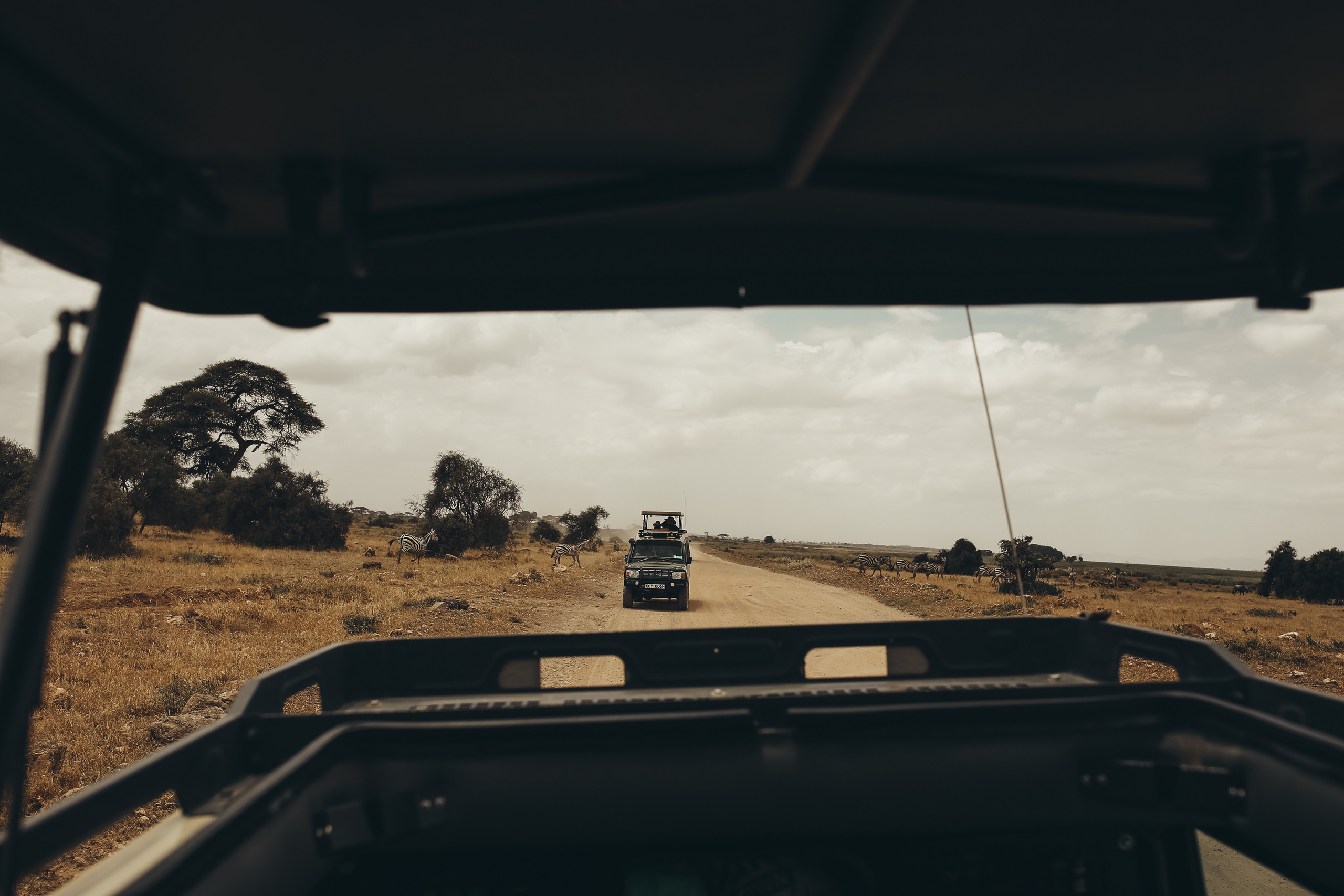 Kenya. Safari. Ekaterina Buneeva Photography