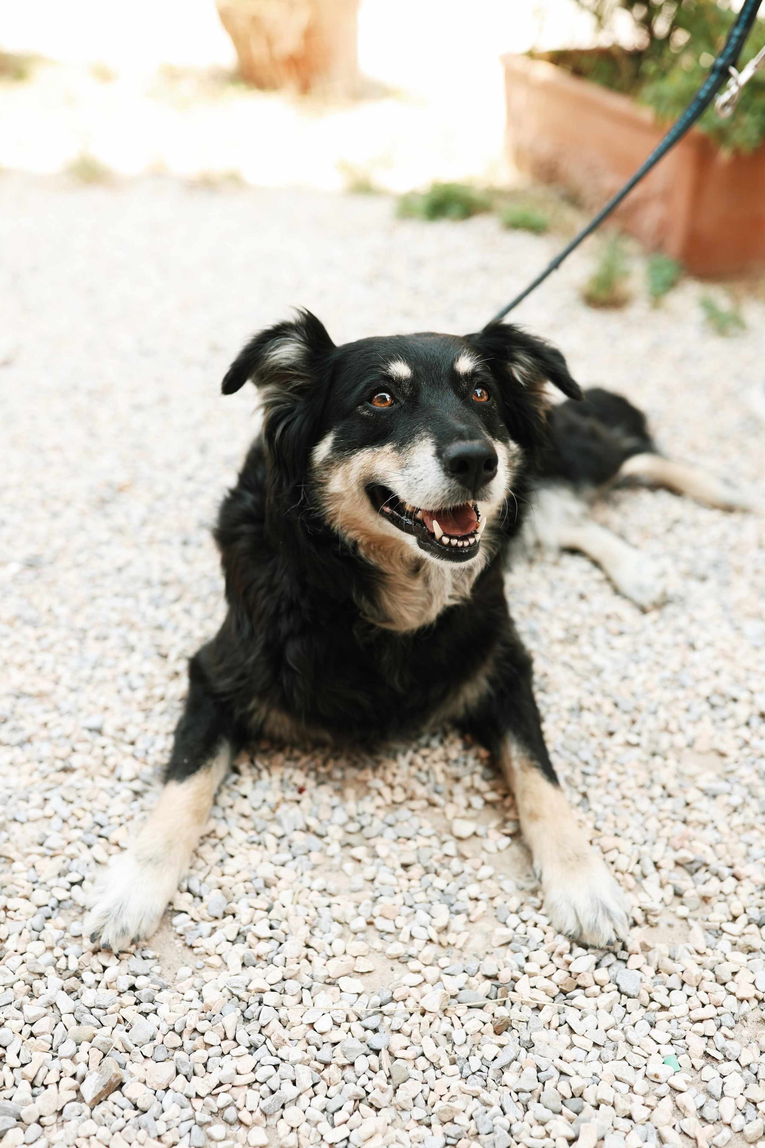 Italy. From Dolomites to Toscana. Ekaterina Buneeva Photography